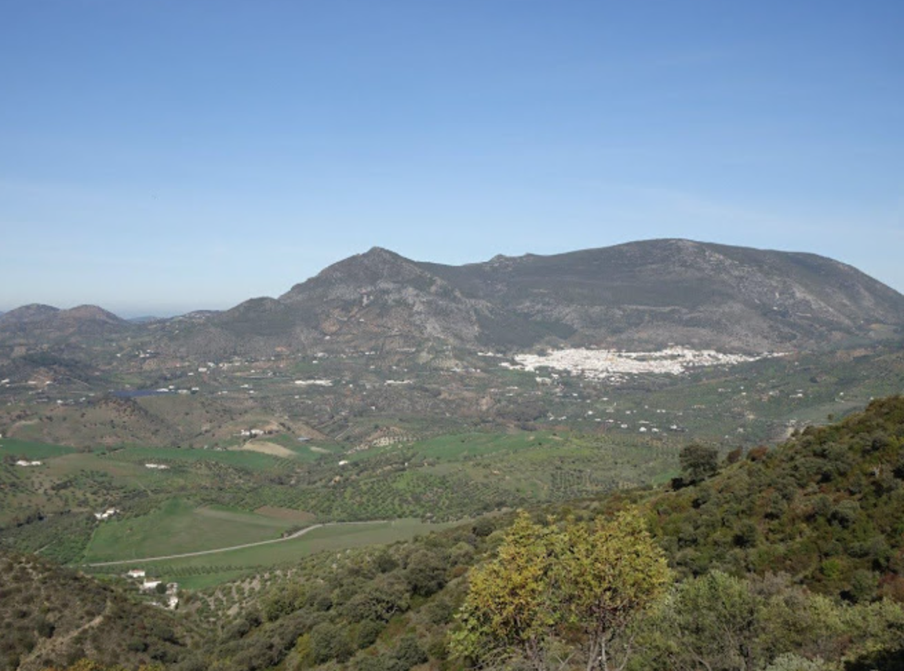 La Sierra de Líjar, que se propone incluir en el Parque de Grazalema, se eleva sobre Algodonales.