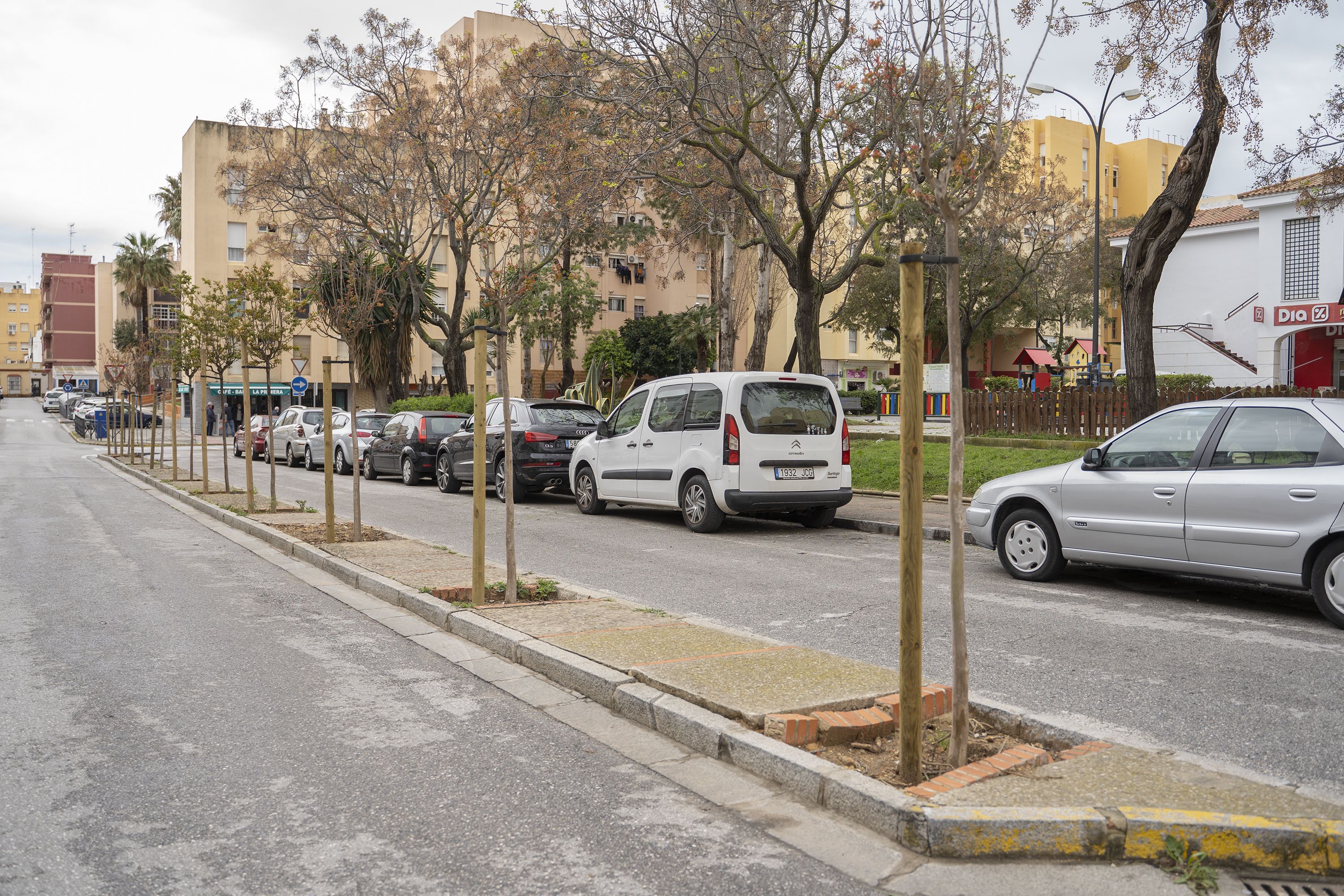 Imagen de la calle Menéndez Pidal, con árboles recién plantados, en San Fernando.