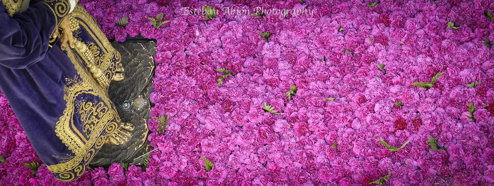 Alerta por la incógnita en el suministro y precio de la flor y la cera.