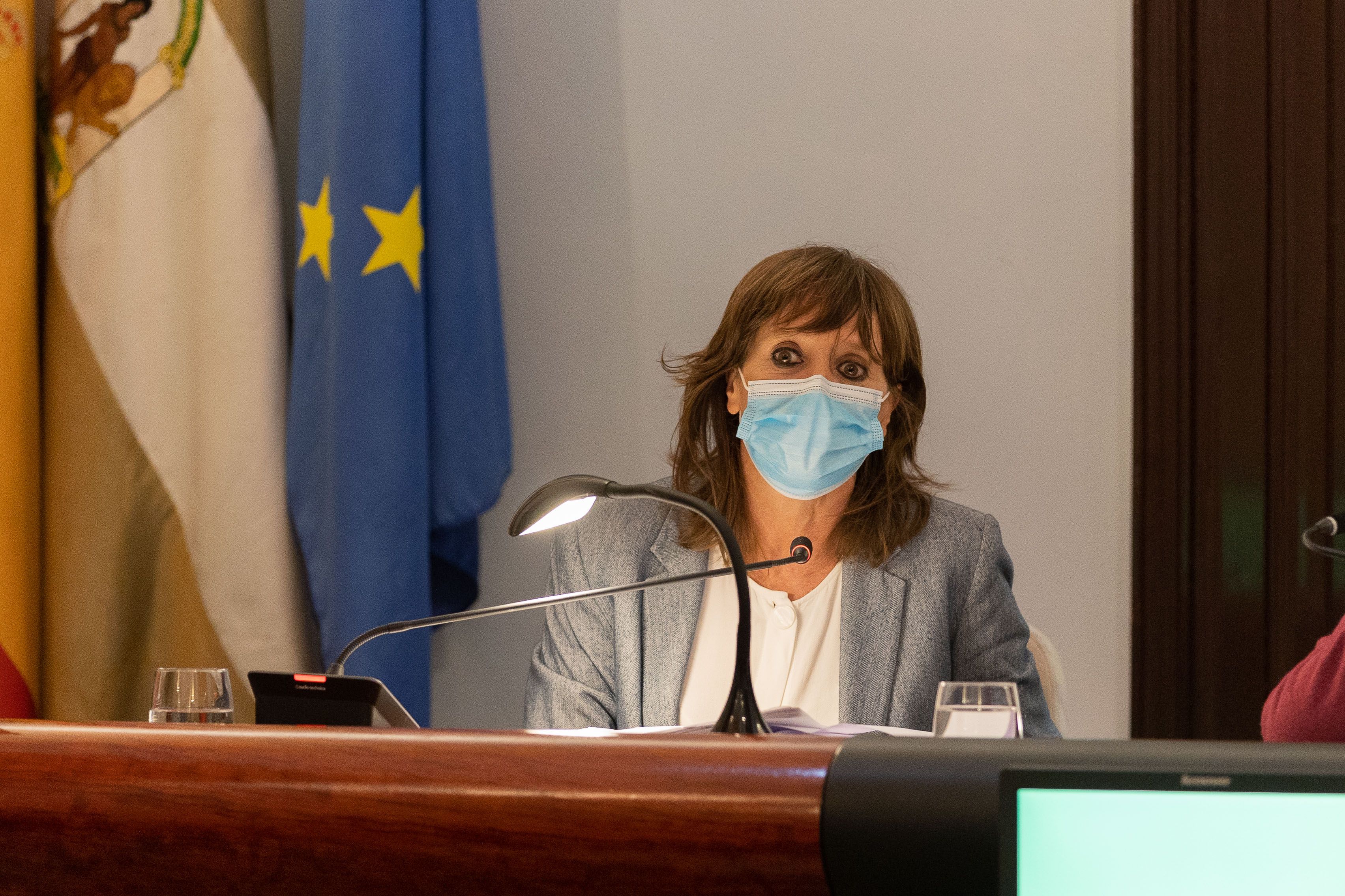La teniente de alcaldesa de Economía de Jerez, Laura Álvarez, en un pleno.