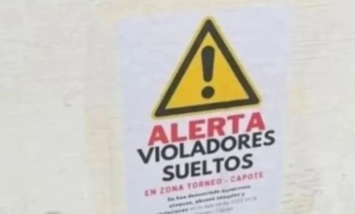 Uno de los carteles que alerta de "violadores sueltos" en la zona de Torneo en Sevilla. INSTAGRAM