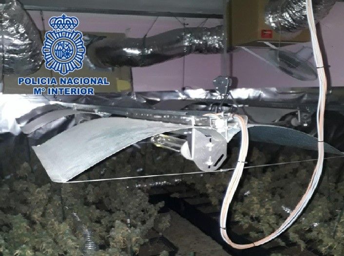 Desmantelada una plantación de marihuana ubicada en un piso ocupado en Jerez.