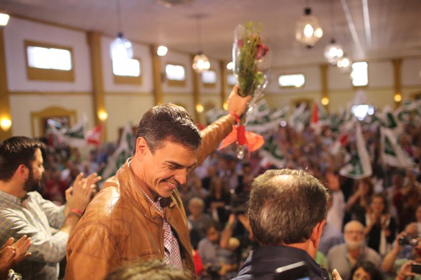 Pedro Sánchez sostiene una rosa antes del inicio de un mitin en Jerez, en 2017. FOTO: JUAN CARLOS TORO