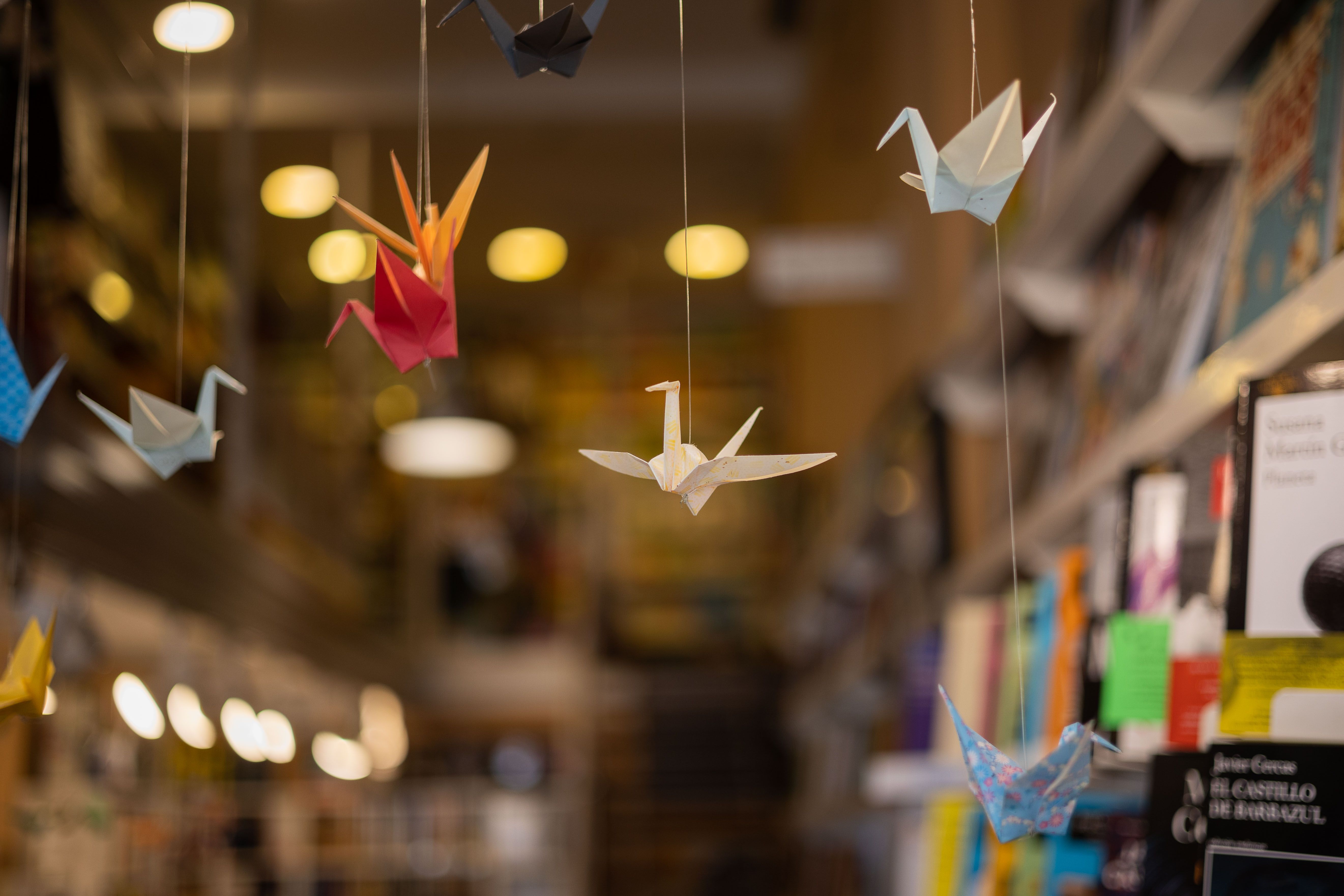 Antigua librería El Gusanito Lector en la calle Feria, en Sevilla. Antigua librería El Gusanito Lector en la calle Feria, en Sevilla.