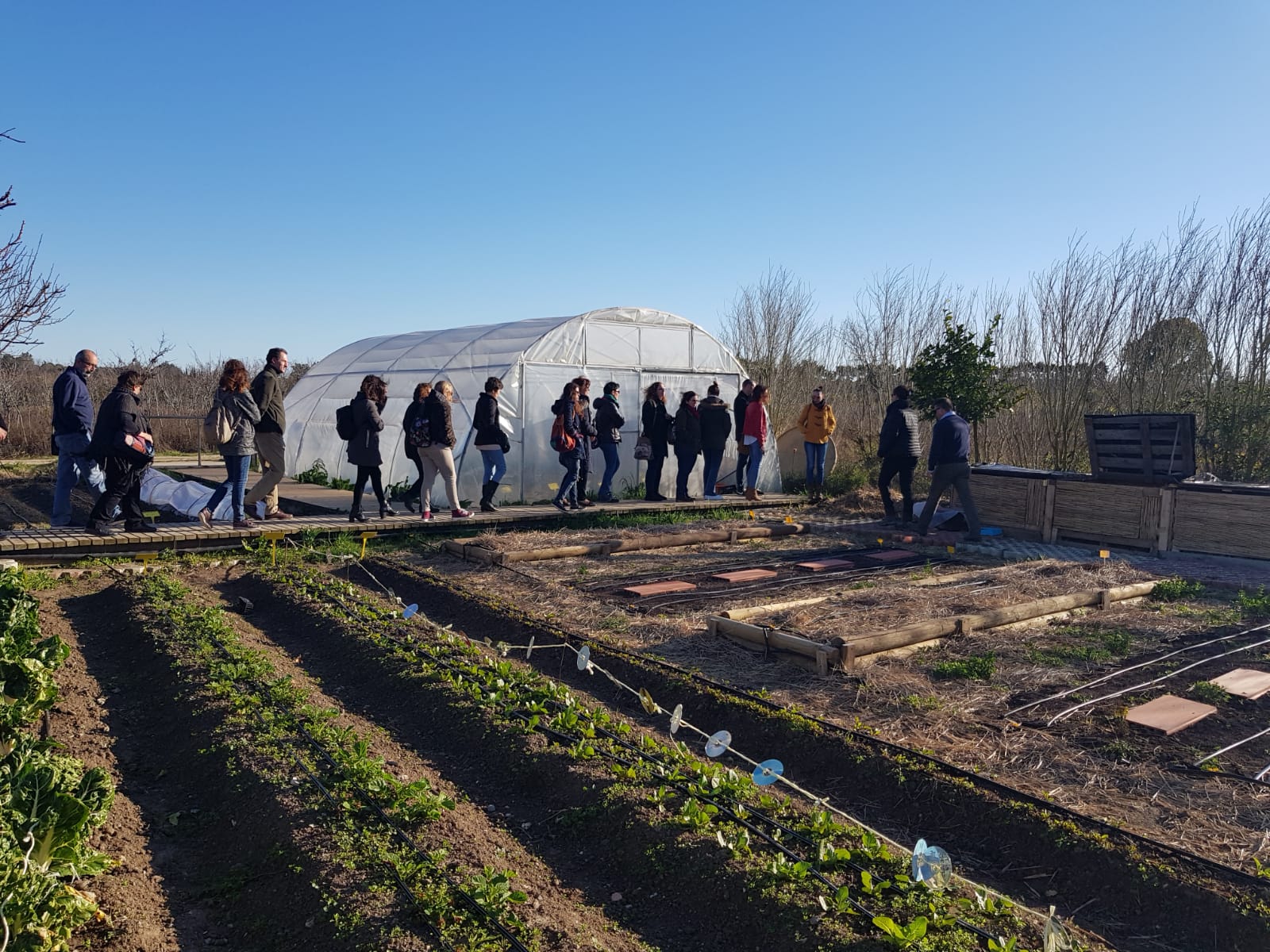 Docentes conociendo el programa de actividades en La Casa de los Colores. 