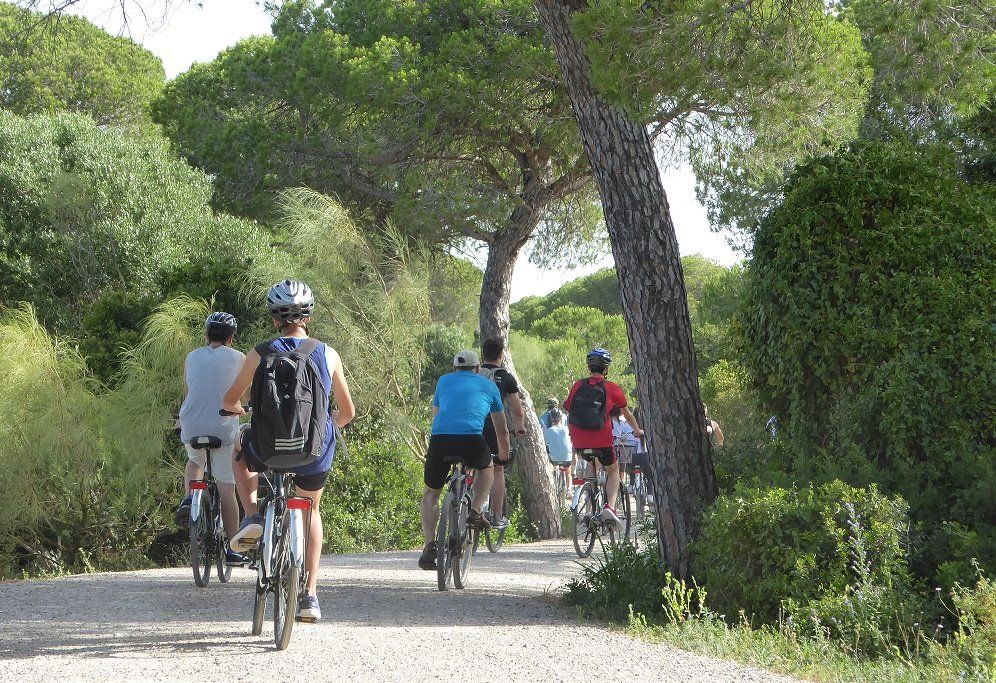 Una ruta guiada en bicicleta, en Los Toruños. FOTO: LOS TORUÑOS. 