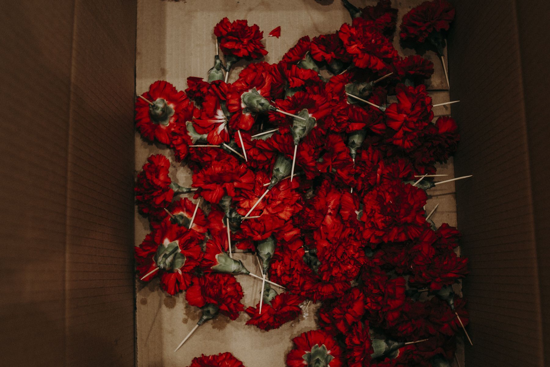 Un puñado de flores del misterio de la Buena Muerte.