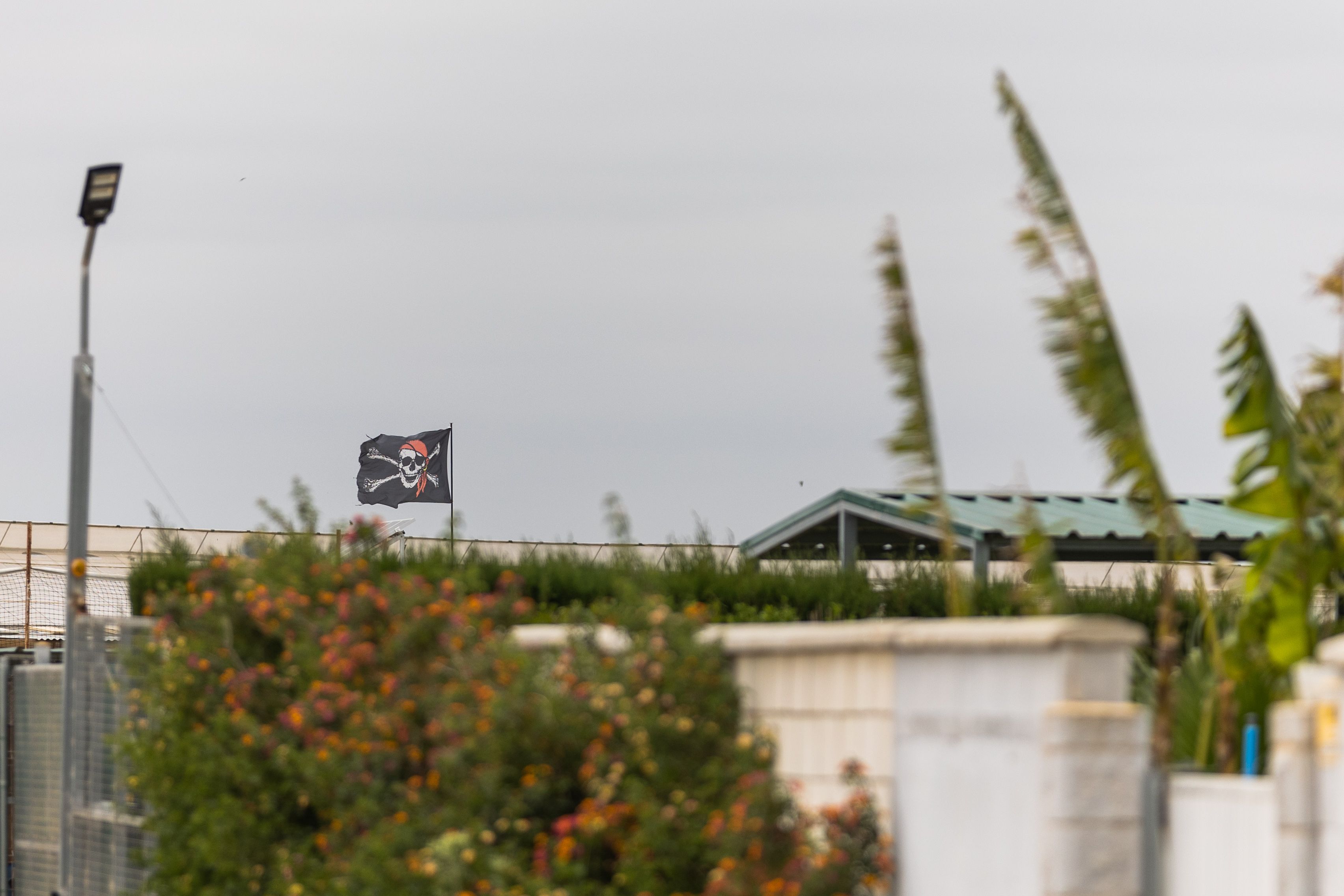 Una bandera pirata, en una de las parcelas de la finca situada entre Torremelgarejo y Nueva Jarilla.