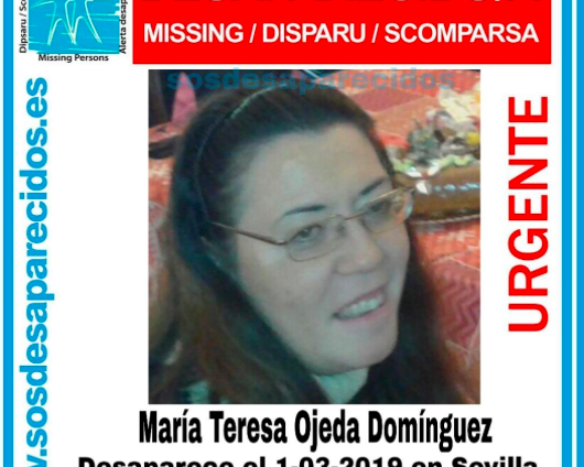 Cartel de la mujer desaparecida en Sevilla. 