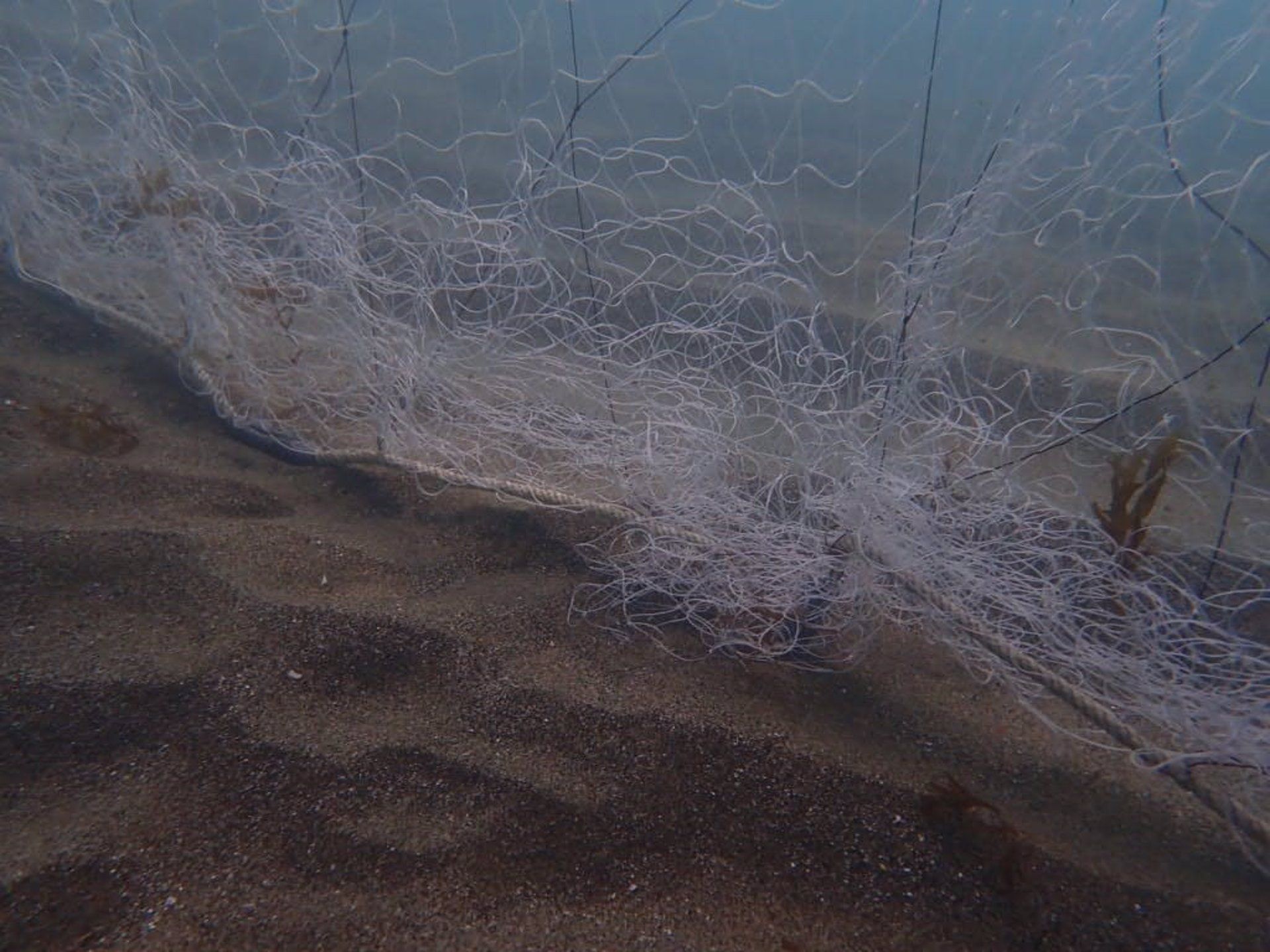  Pesca con redes de enmalle en el Estrecho