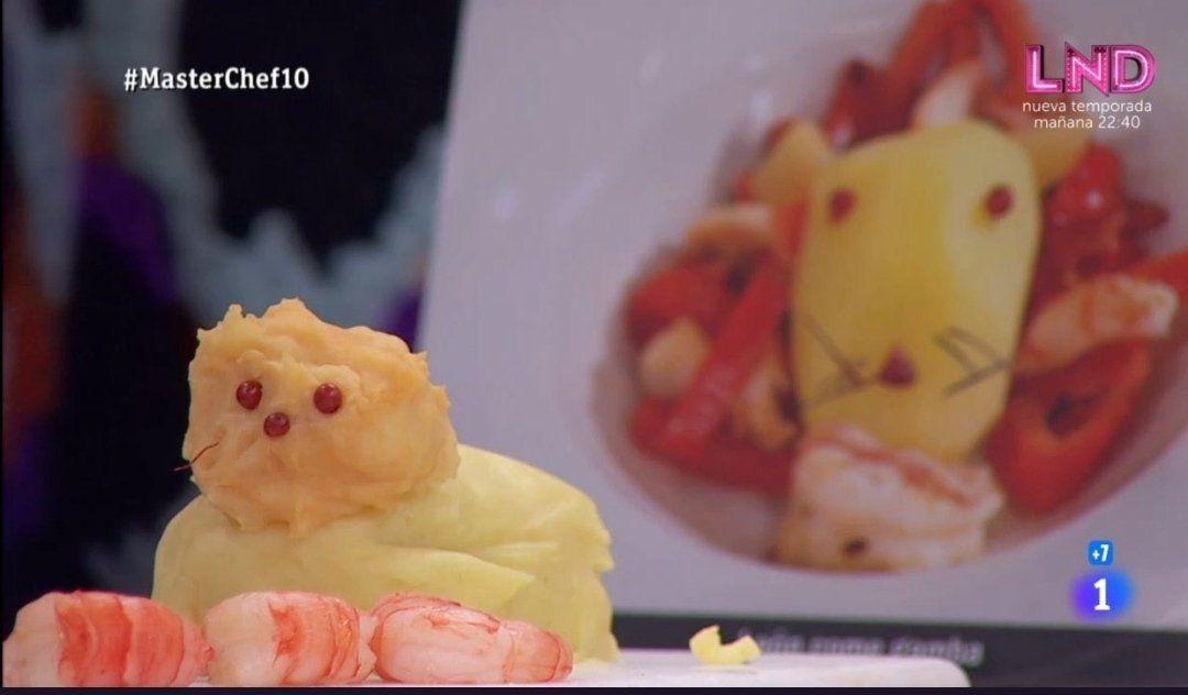 El gato acostado de 'MasterChef'.