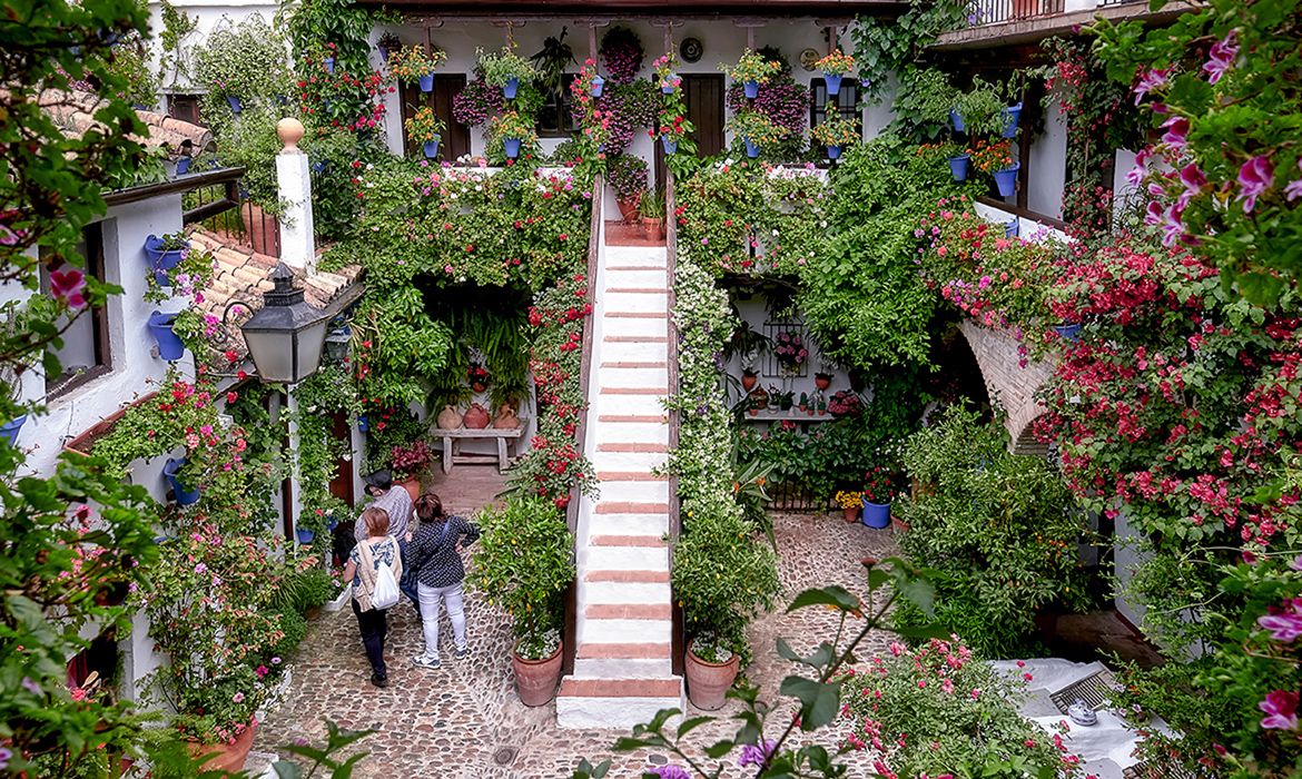 Los propietarios de los patios de Córdoba abren las puertas de sus casas para mostrar sus pequeños oasis 