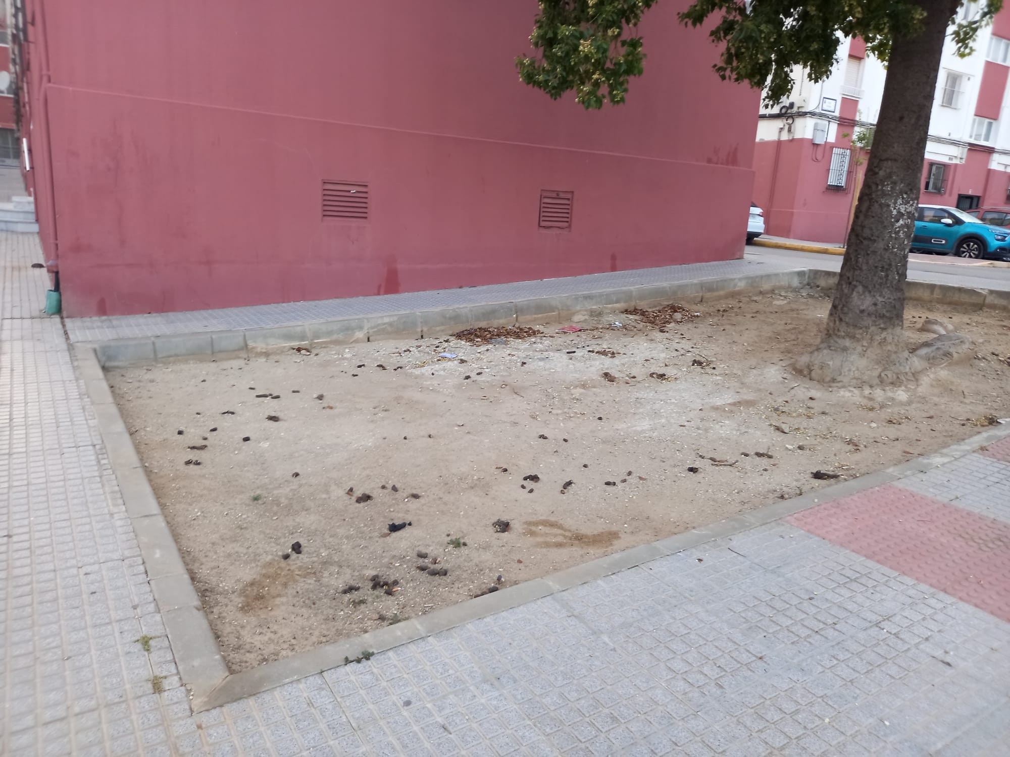 Terreno repleto de heces de perros junto a un bloque, el 'cagadero' de mascotas en Chiclana.