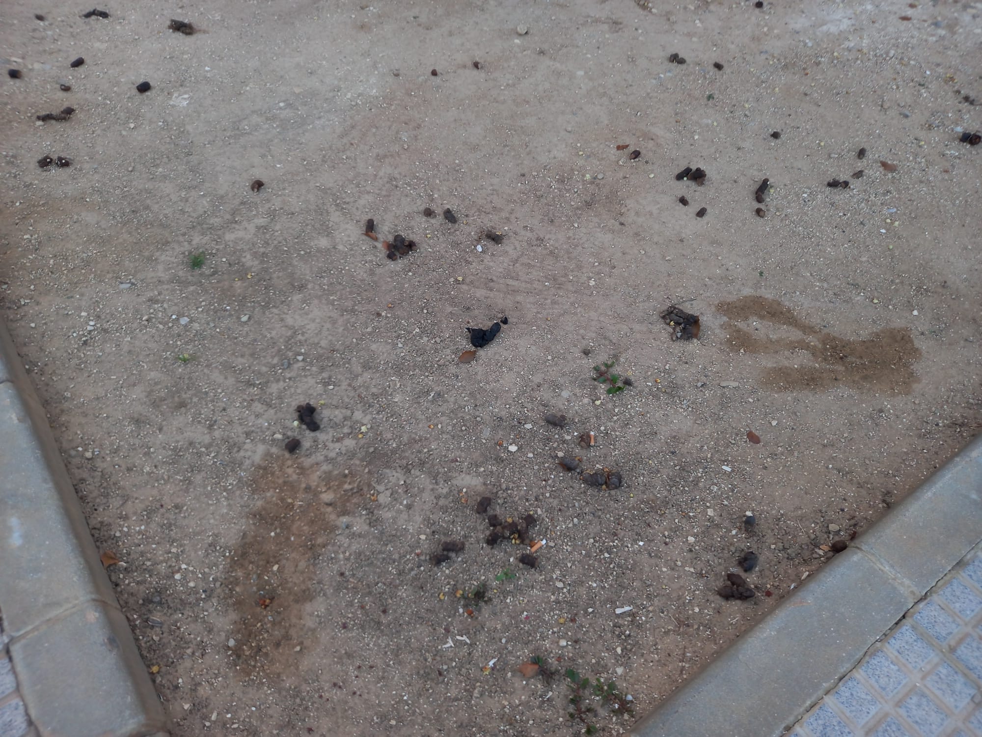 Estado del terreno en una imagen compartida en redes sociales.