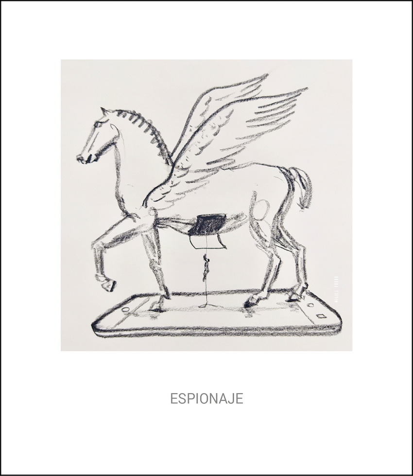 Pegasus, por Miguel Parra.