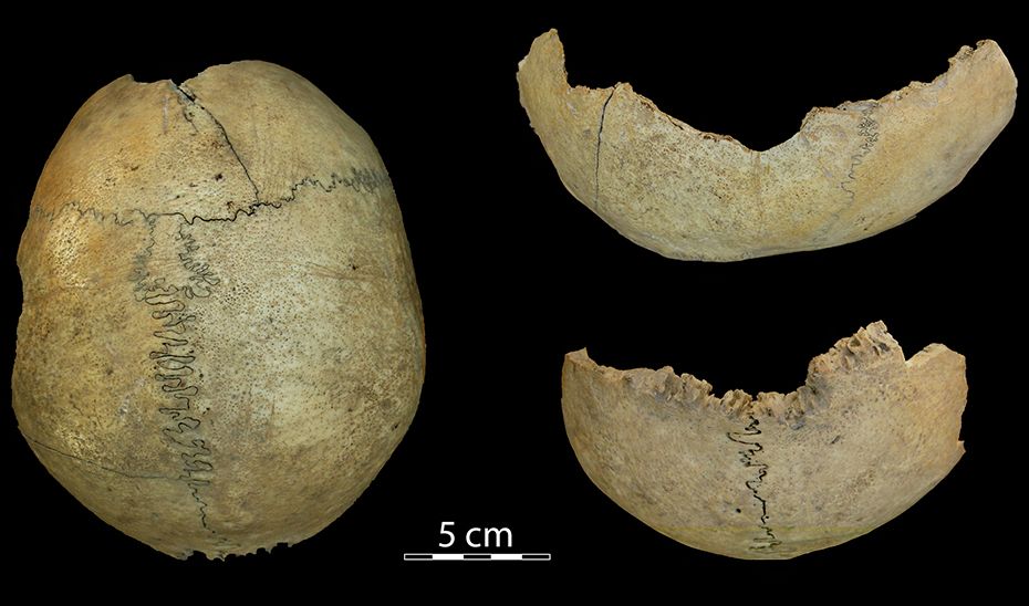 El "cráneo copa" hallado durante las excavaciones arqueológicas en Antequera.