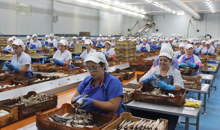 Trabajadoras de una planta de conservas de pescado.