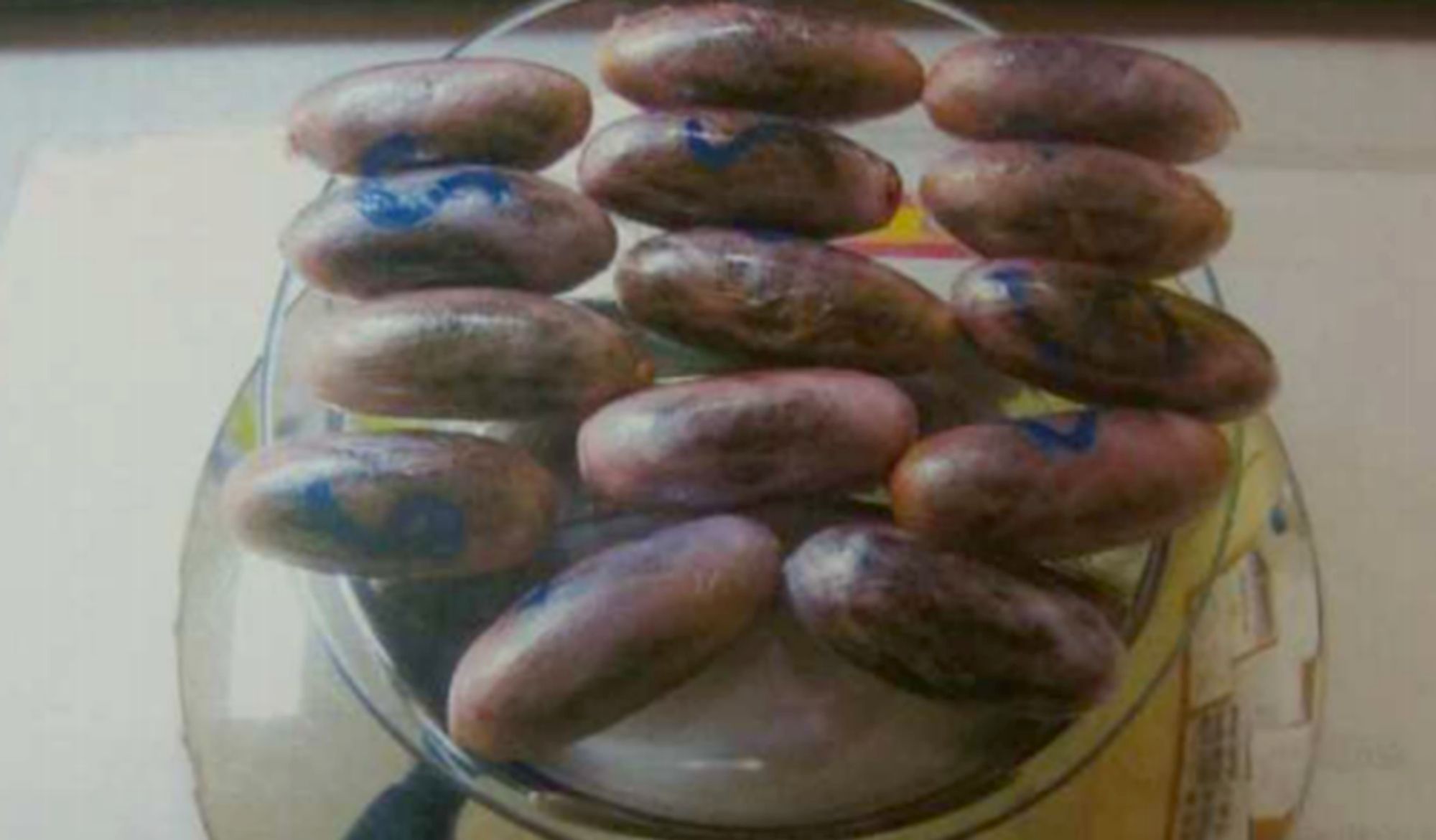 Las catorce bellotas incautadas en Puerto III con un peso de 149 gramos.