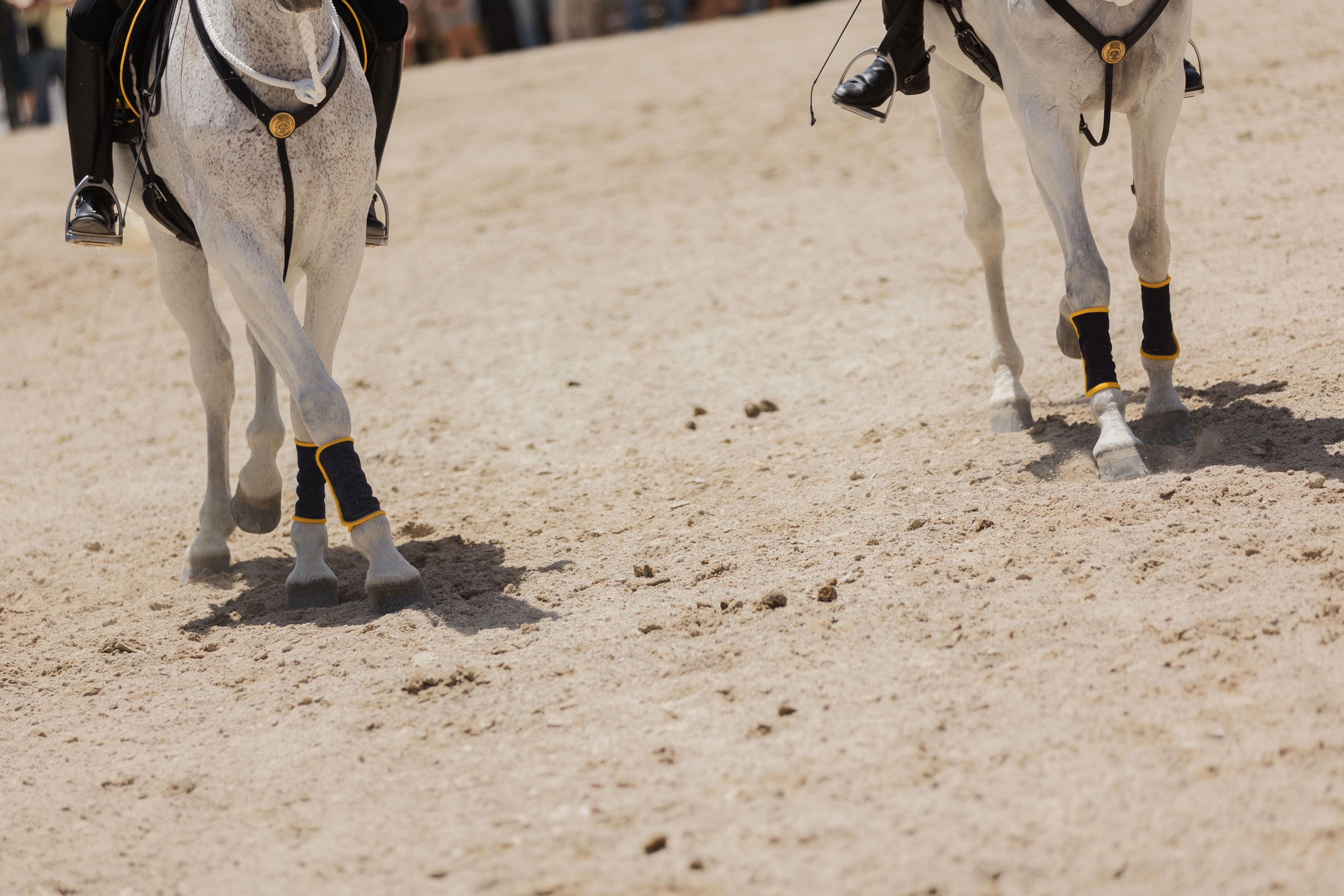 Entrega del Caballo de Oro y posterior desfile por el Real de la Feria