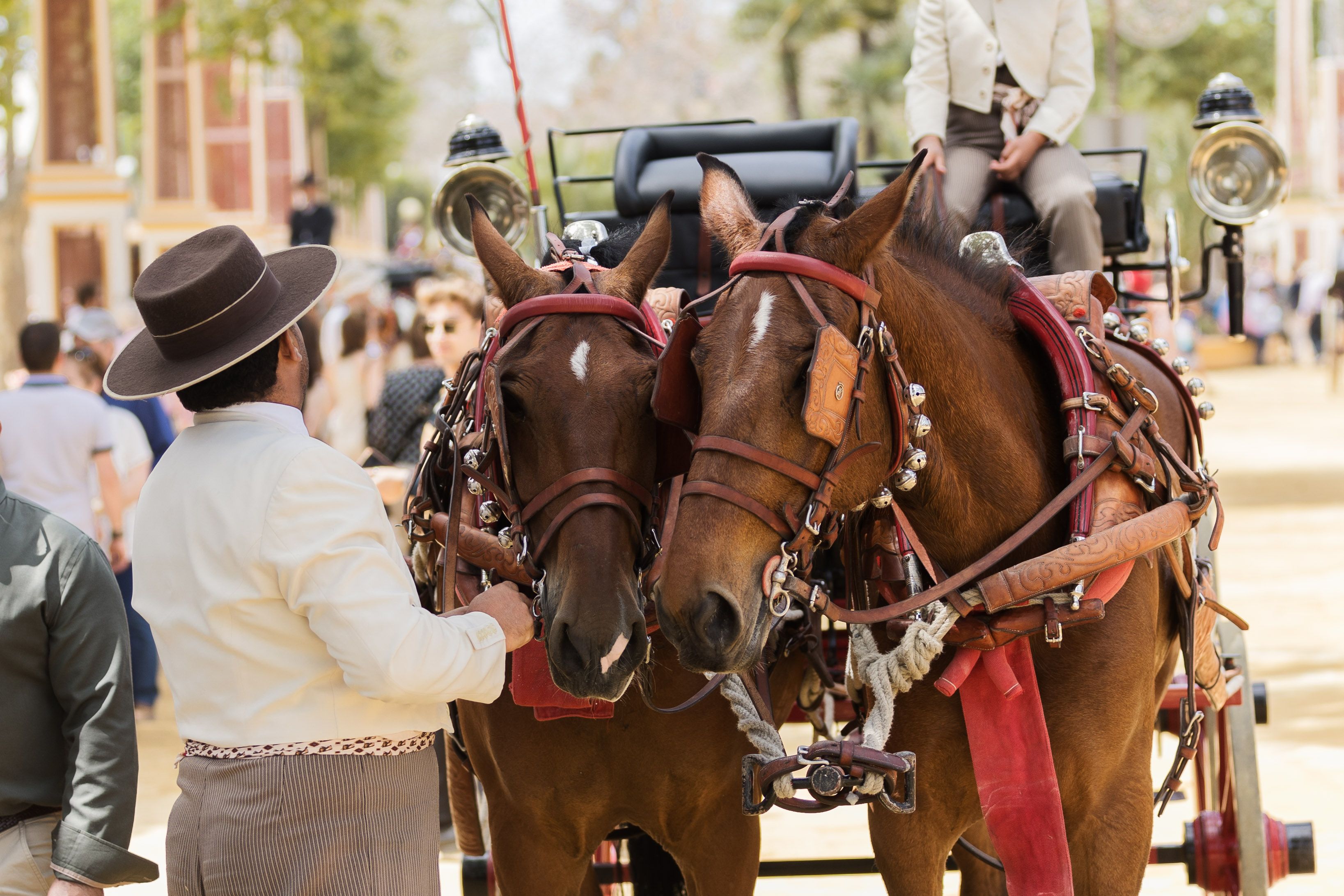 Fotos del sábado de feria Fotos del sábado de feria