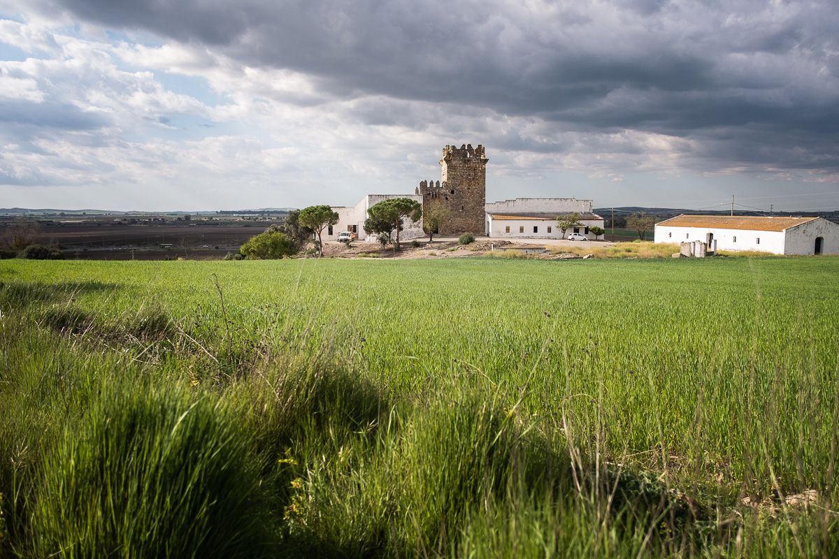 El castillo de Torremelgarejo, en Jerez.