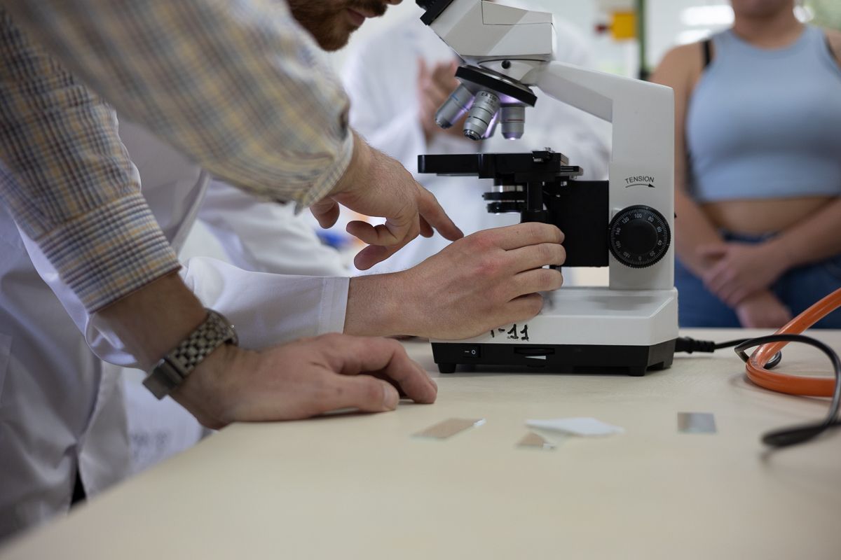 Varios estudiantes utilizan el microscopio durante una práctica.
