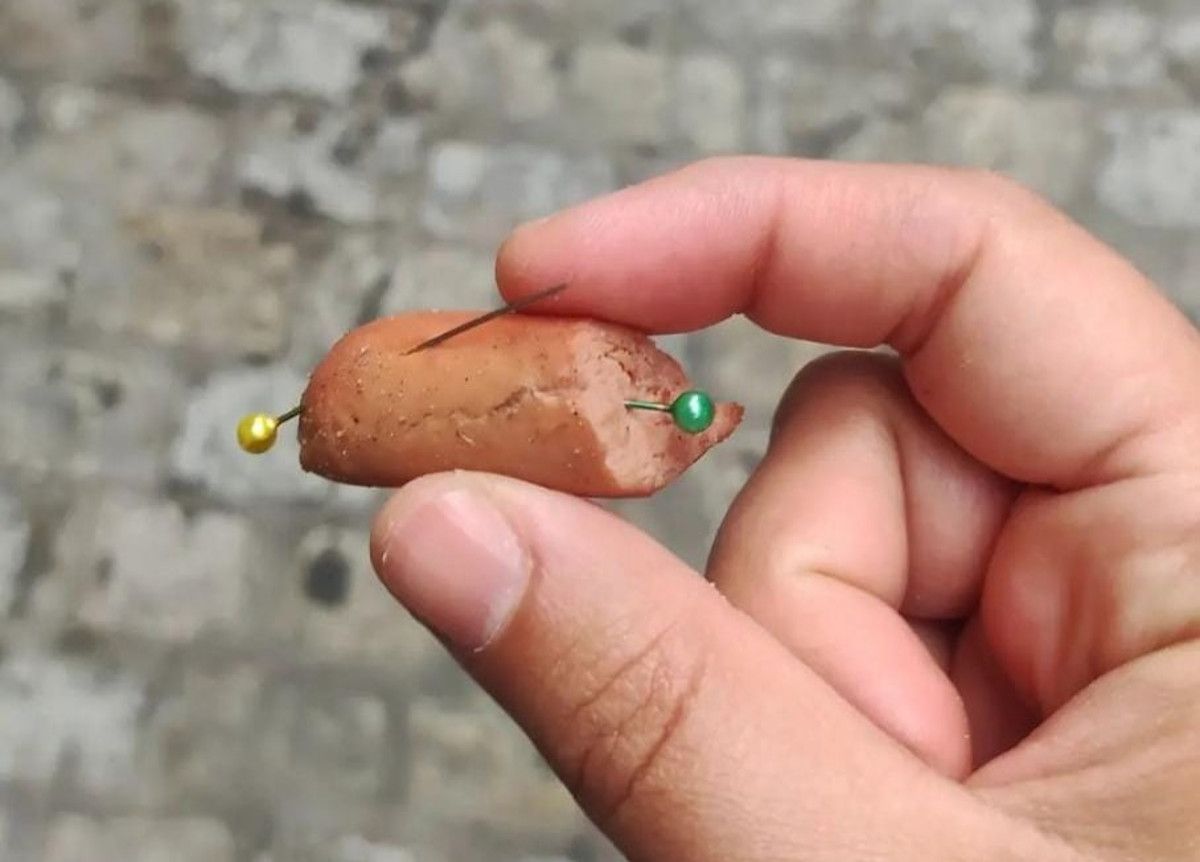 Salchichas con agujas encontradas en una calle cercana a la Catedral de Cádiz.