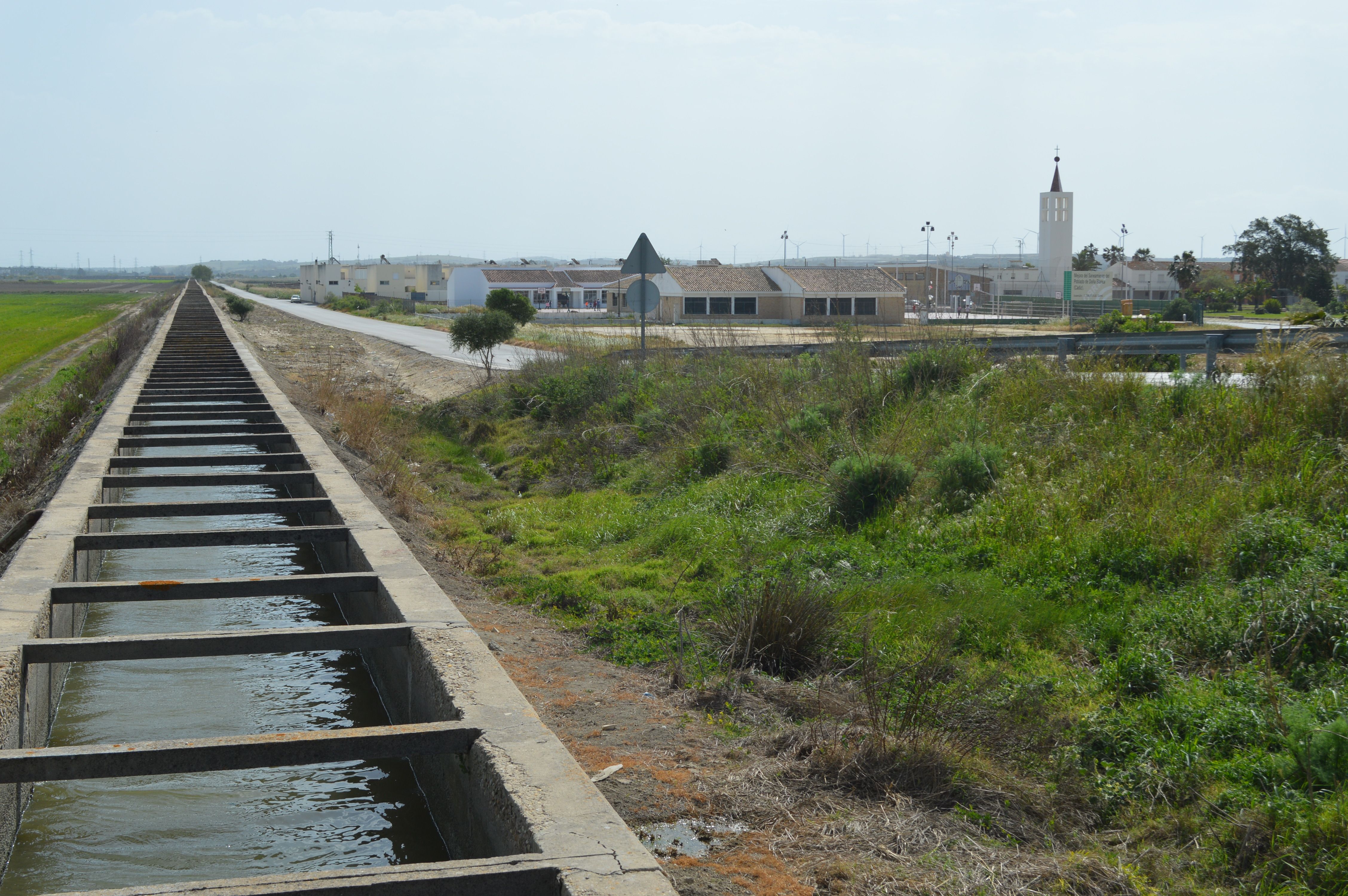 Canal Poblado Doña Blanca. Rio Guadalete. 