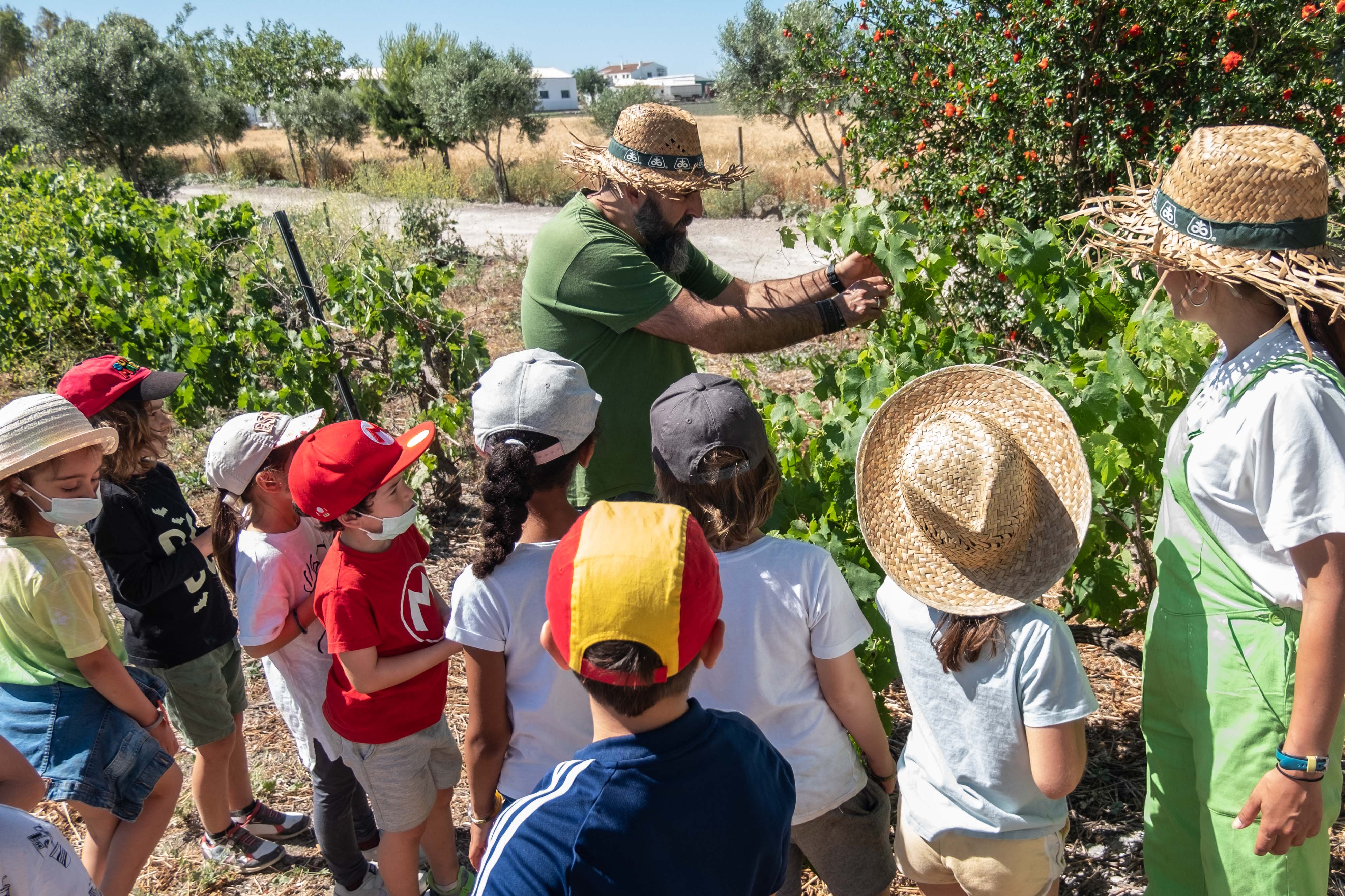 Niños y niñas, aprendiendo y disfrutando en la viña escuela Las Majadillas.