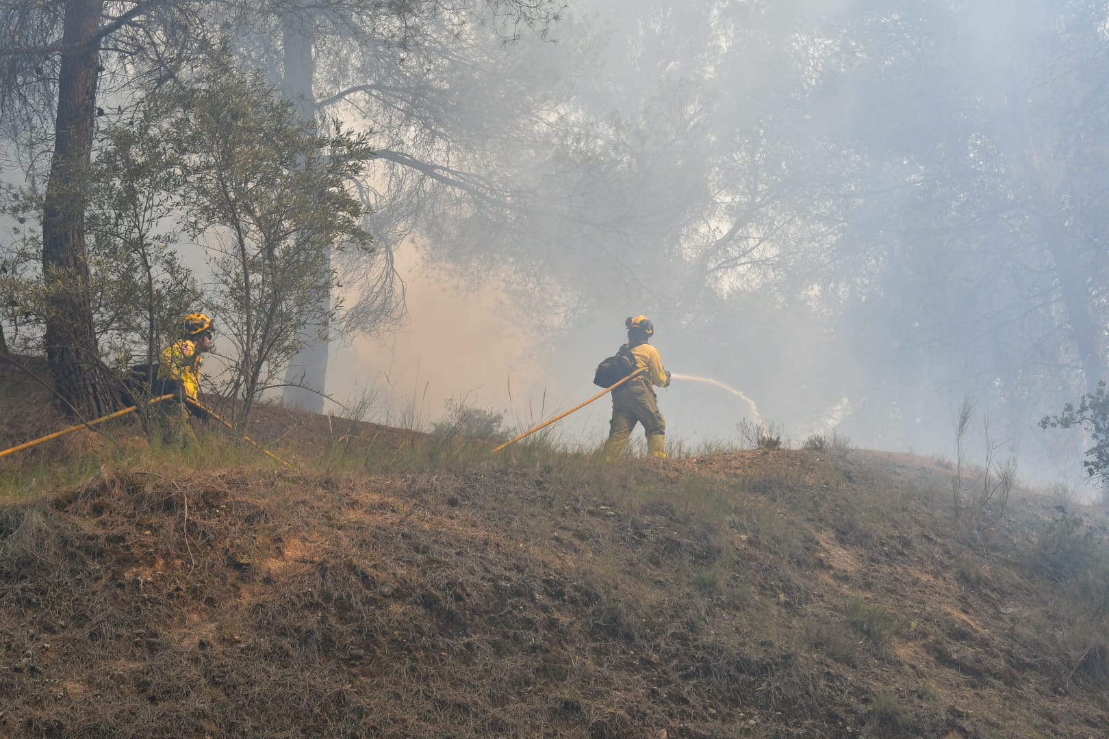 El dispositivo para la prevención y extinción de incendios forestales en Andalucía (Plan Infoca) trabaja en sofocar un incendio forestal declarado en el Cerro de San Miguel, en Granada capital.