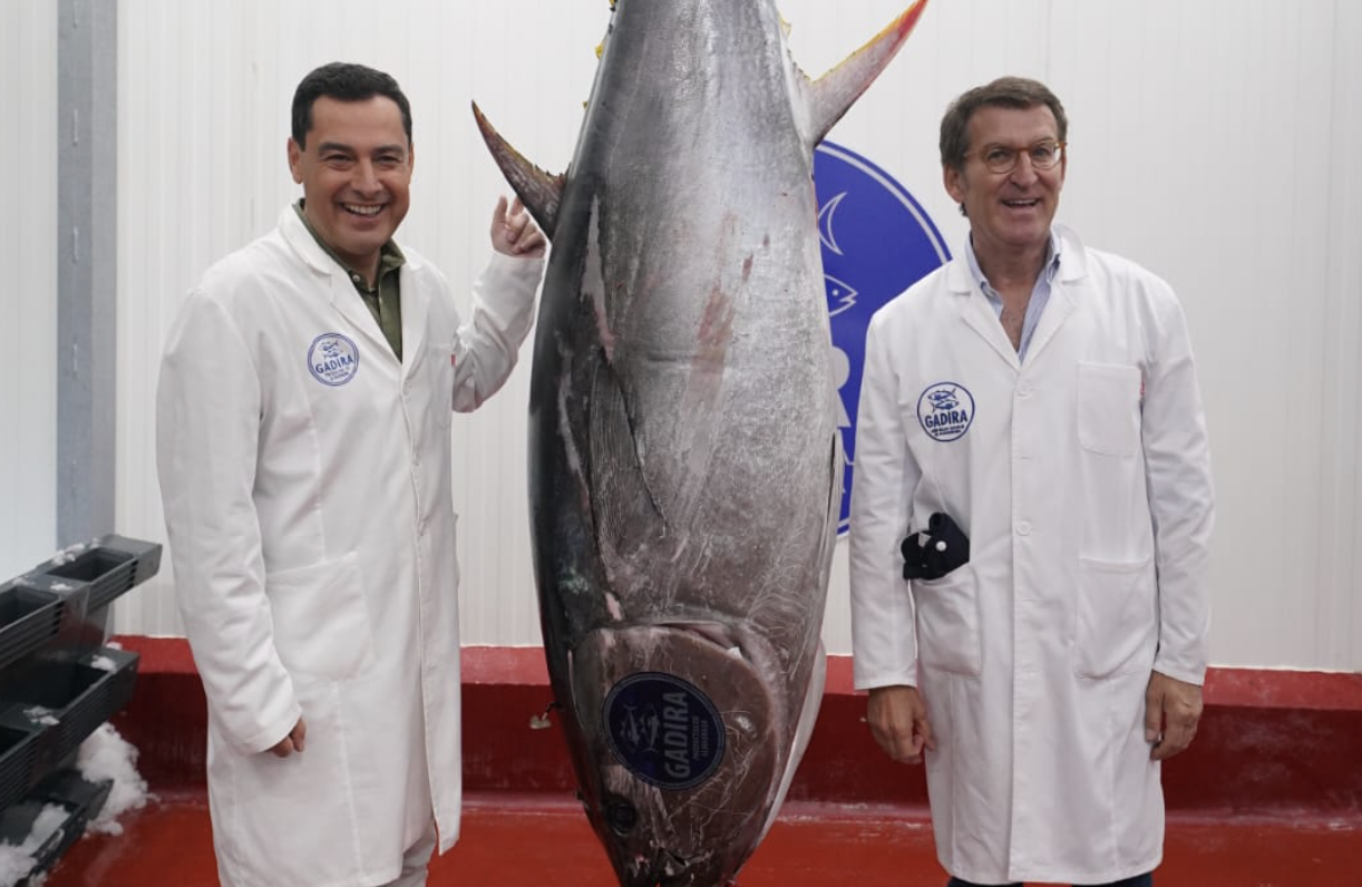 Moreno y Feijóo, este pasado fin de semana, de 'levantá' atunera en Cádiz.