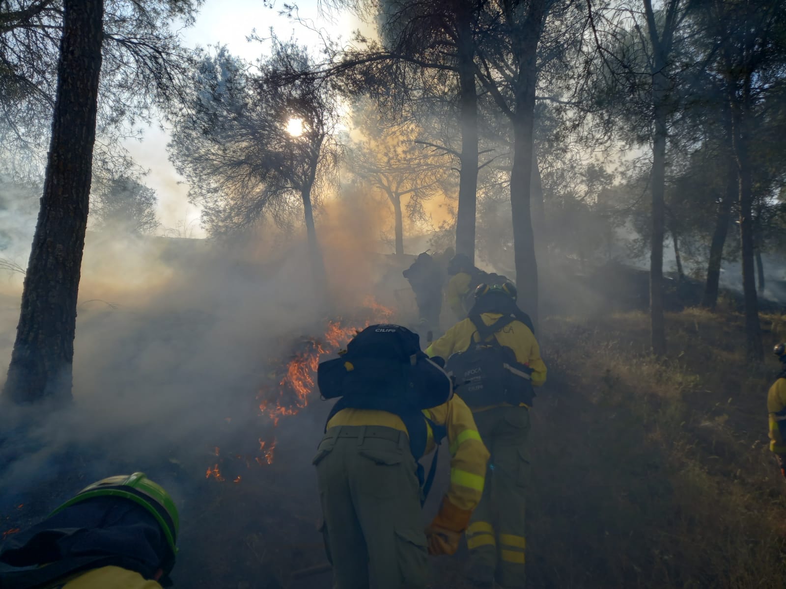 Bomberos del Infoca, en un incendio en la comunidad.