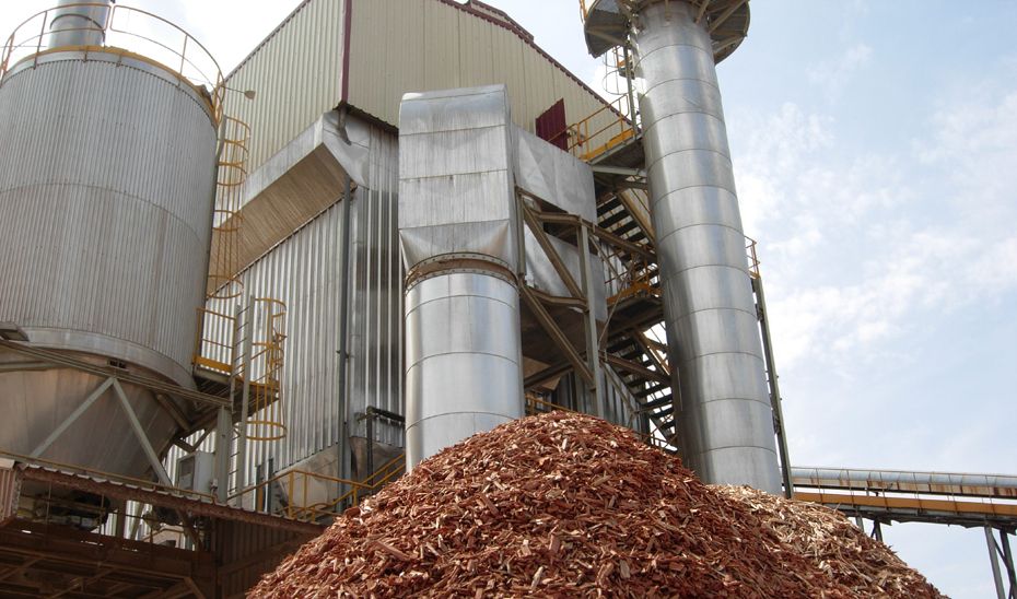 Garantizar el uso de biomasa de calidad es un aspecto fundamental para la consolidación del sector.