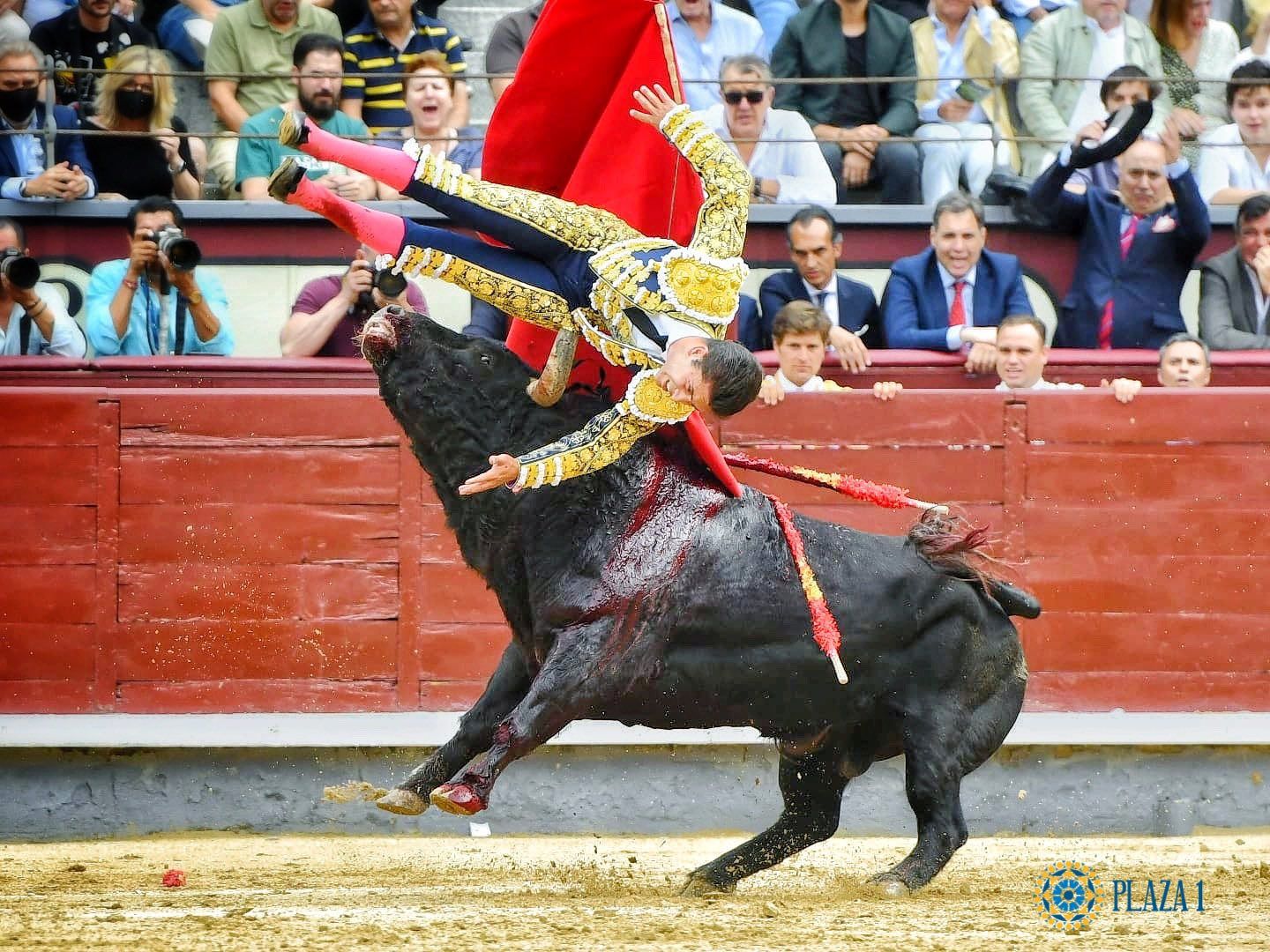 El momento en el que es corneado el torero Rafael González.