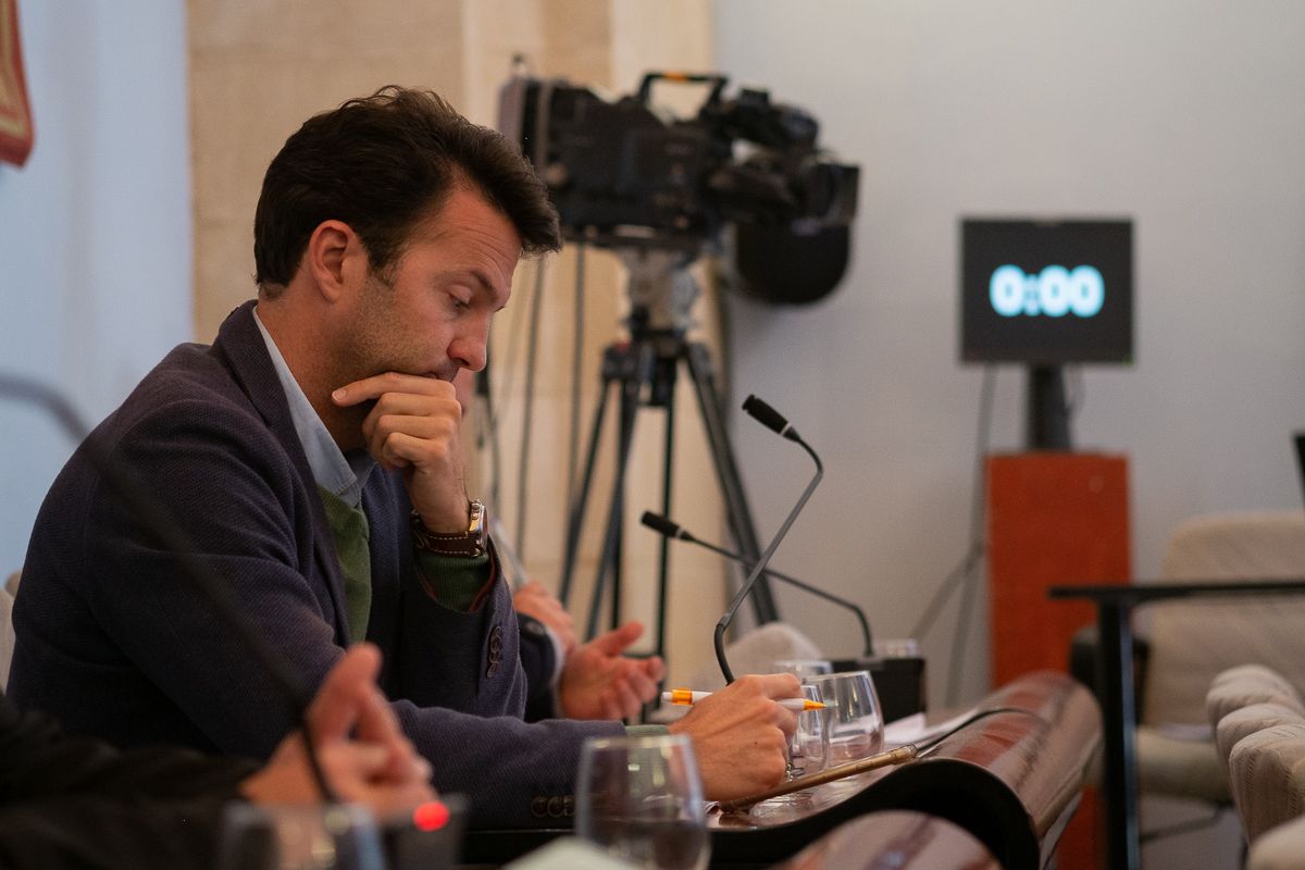 Carlos Pérez, en el pasado pleno de marzo. FOTO: MANU GARCíA