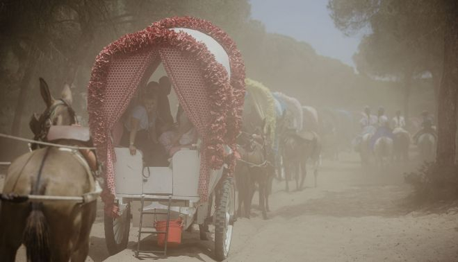 Carros de Jerez avanzando por Doñana entre el polverío que levanta su caminar. ESTEBAN