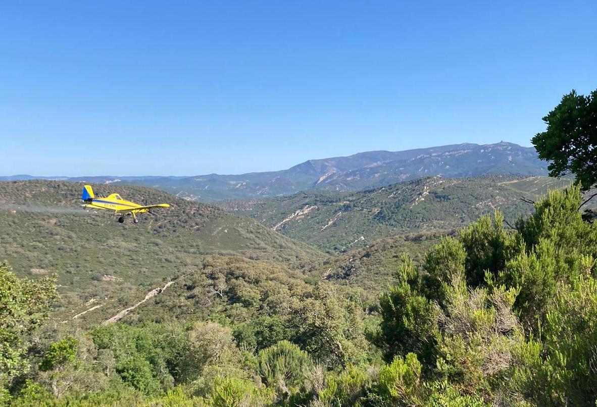 Una de las avionetas usadas para combatir a la lagarta peluda en Cádiz.