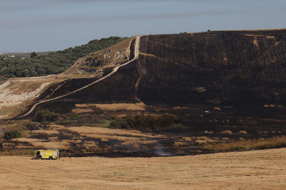 El trigal quemado en la zona Sur de Jerez.
