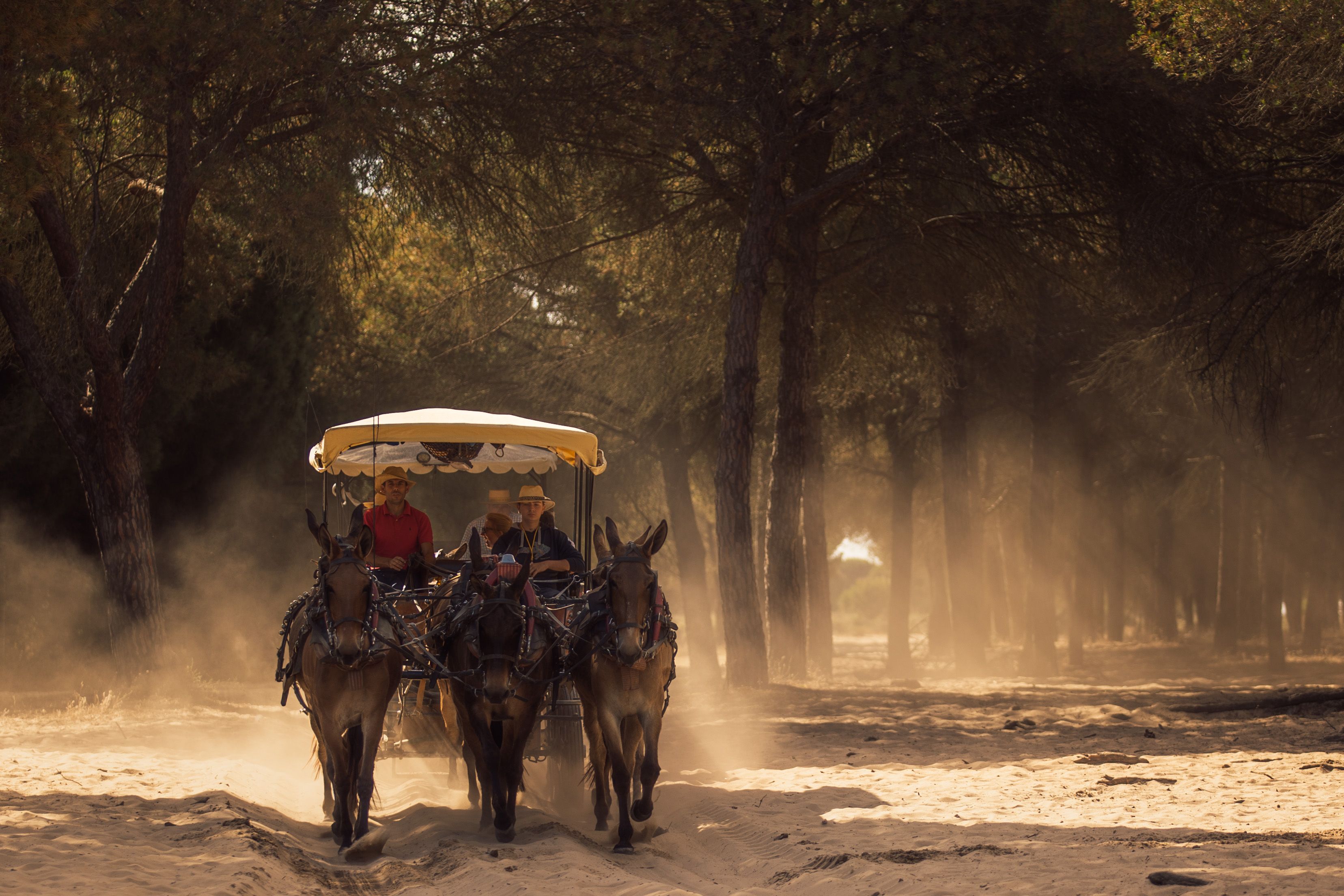 Llegada y ambiente de sábado en la aldea del Rocío