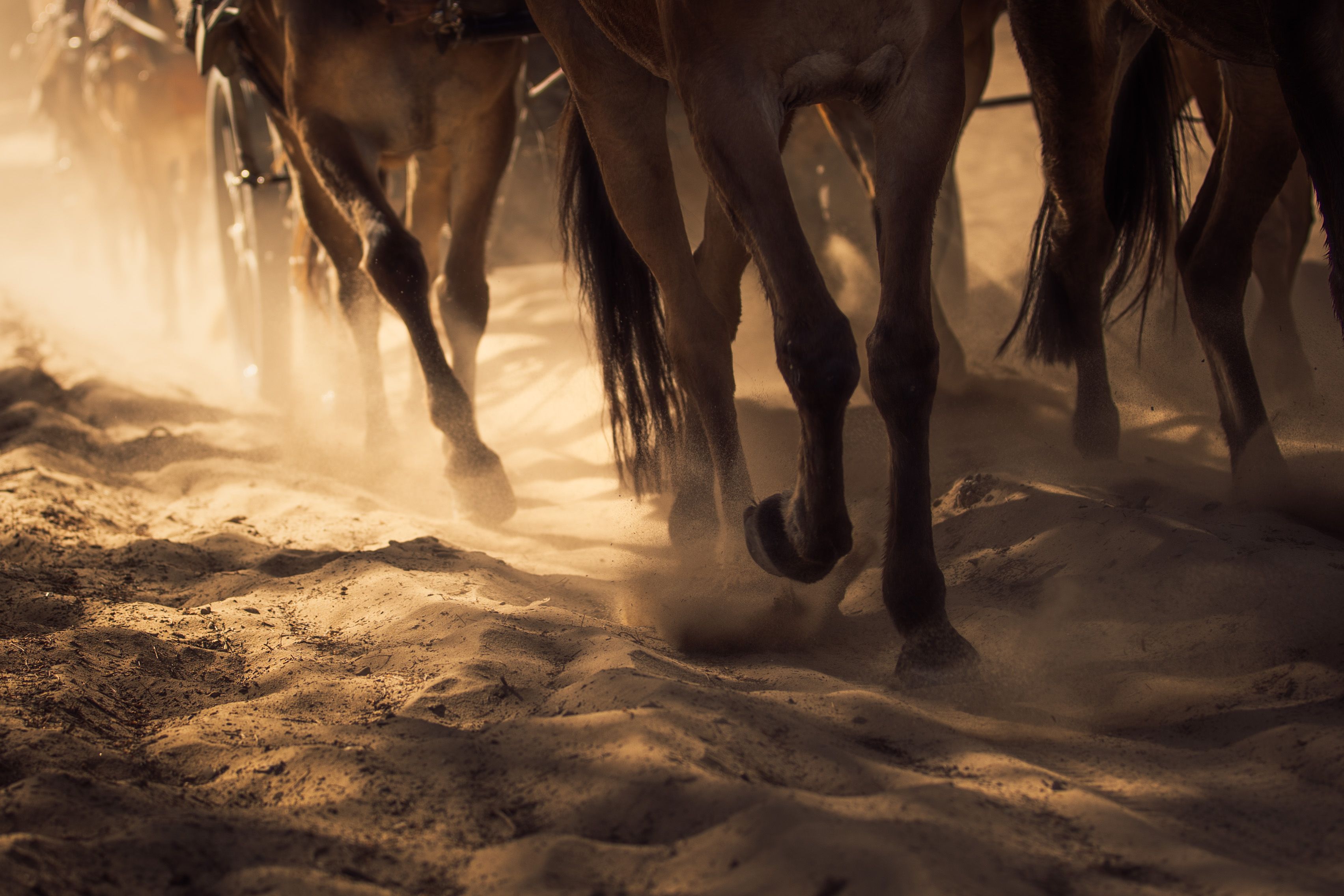 Llegada y ambiente de sábado en la aldea del Rocío