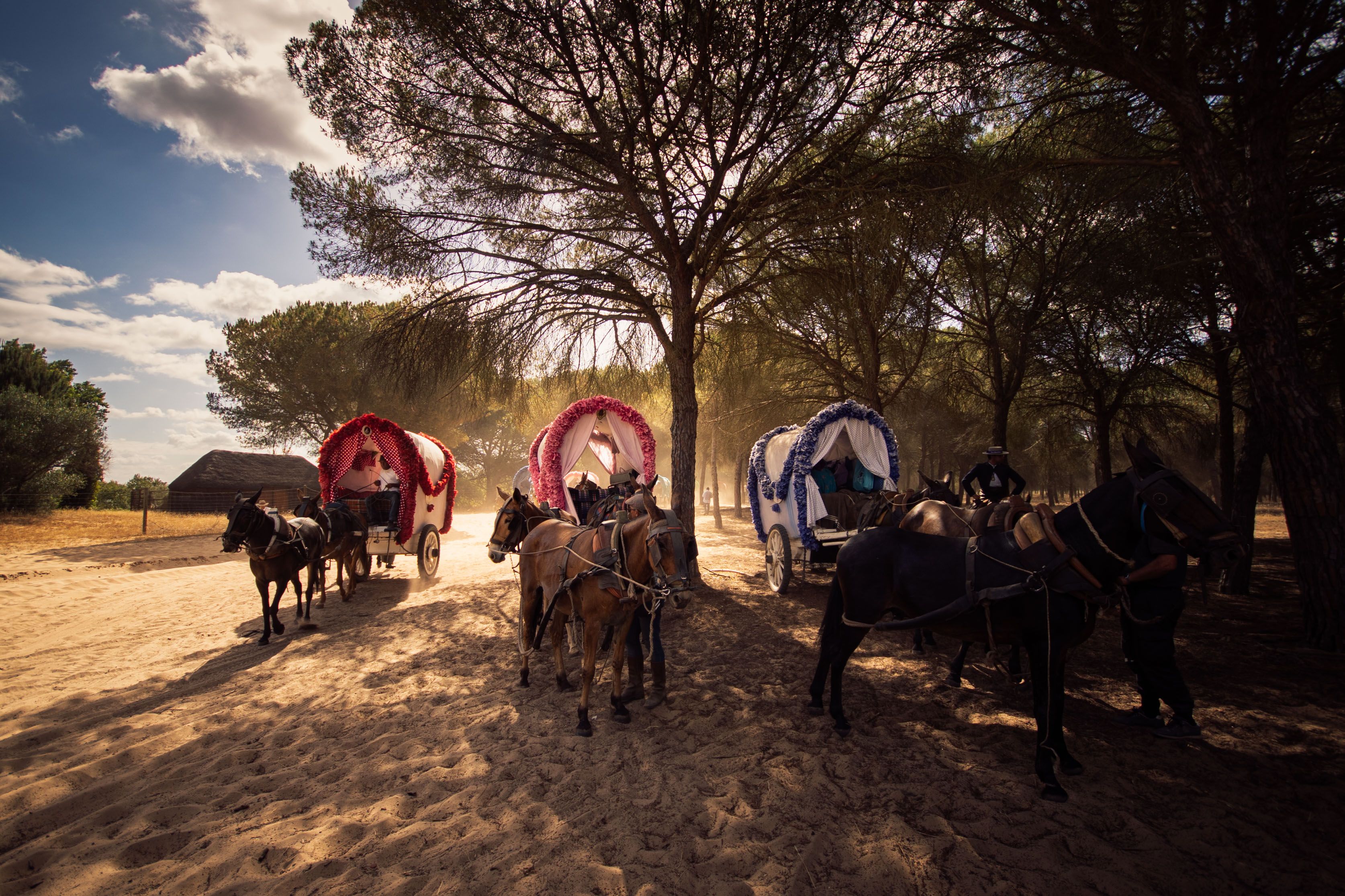 Llegada y ambiente de sábado en la aldea del Rocío