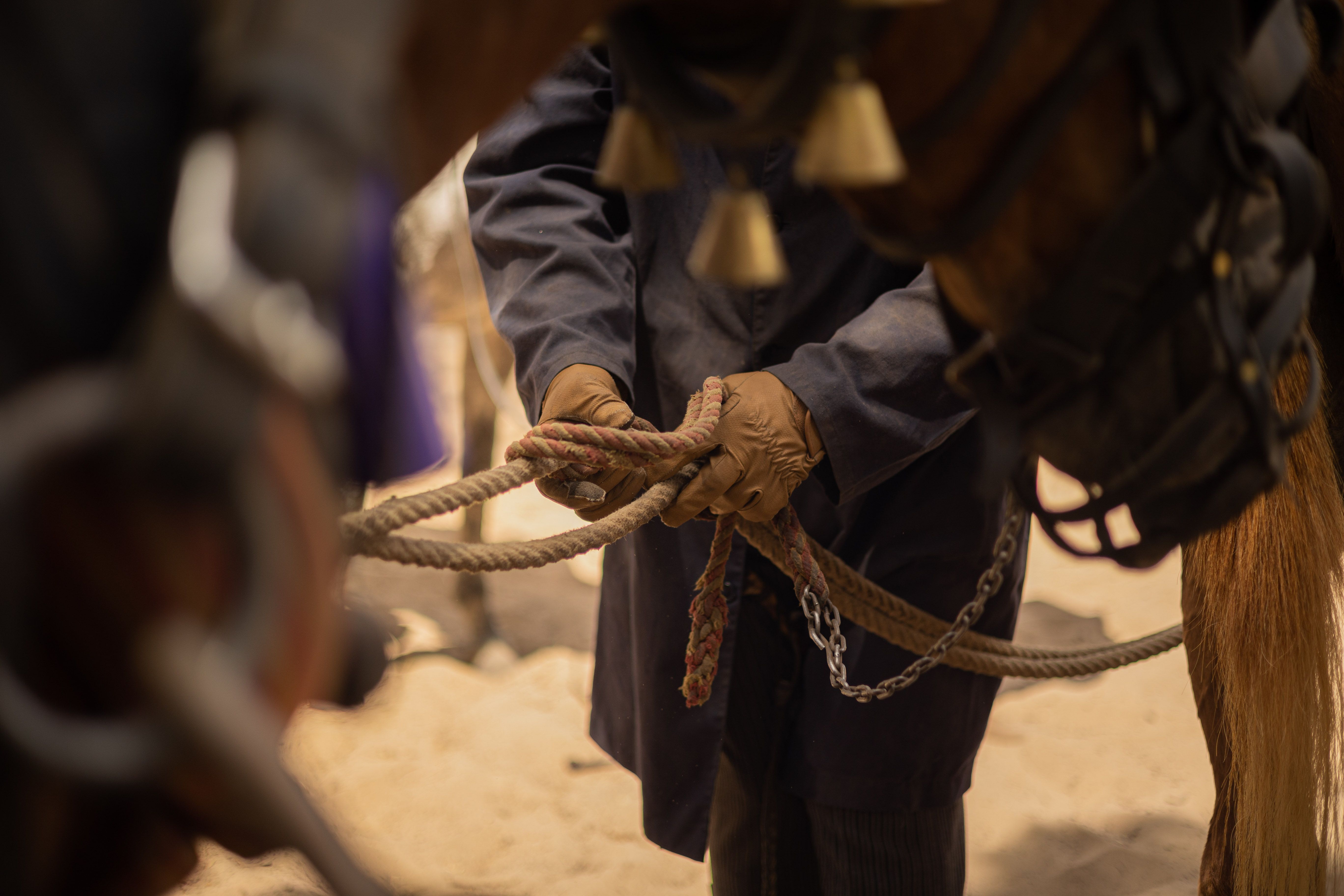 Llegada y ambiente de sábado en la aldea del Rocío