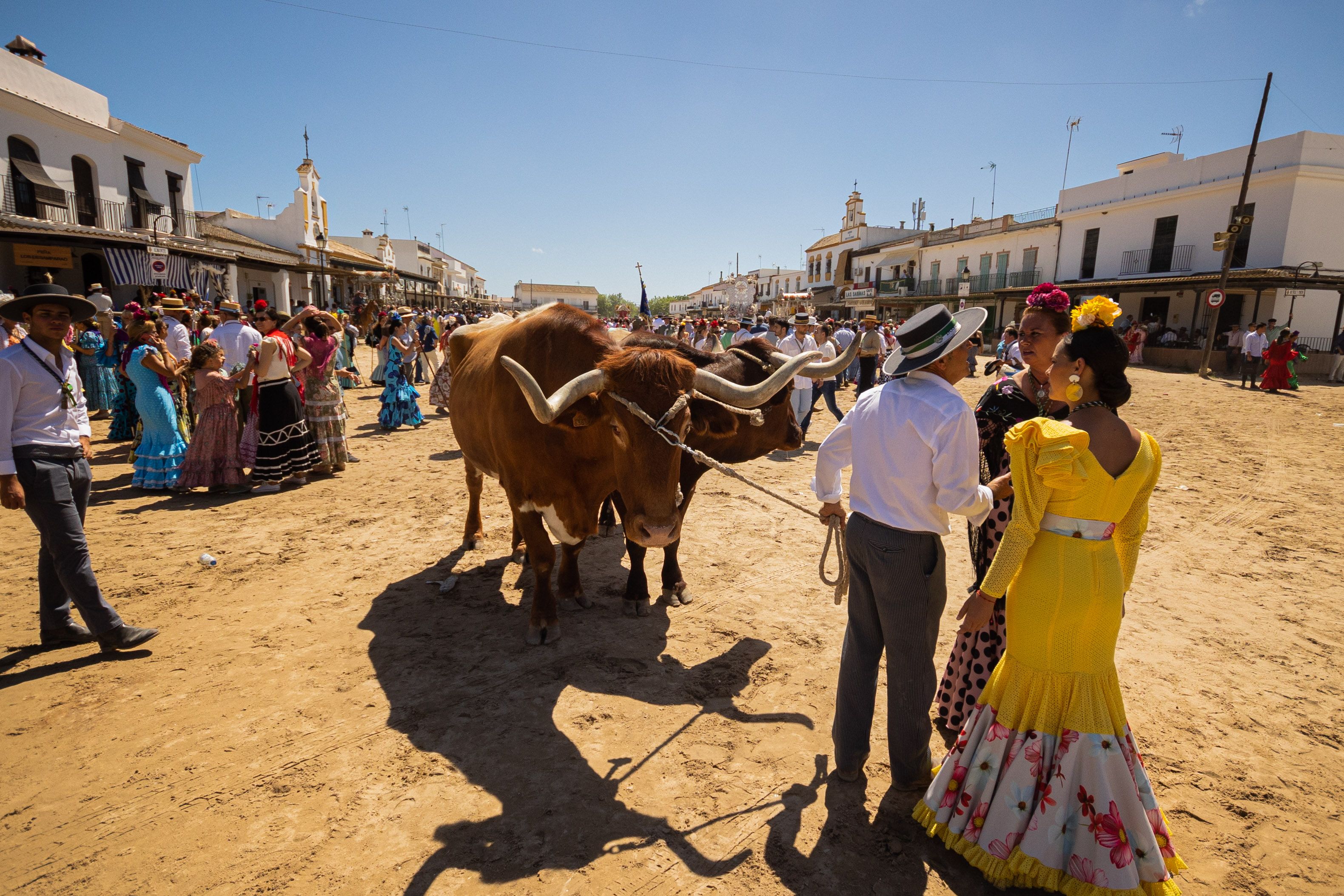 Llegada y ambiente de sábado en la aldea del Rocío