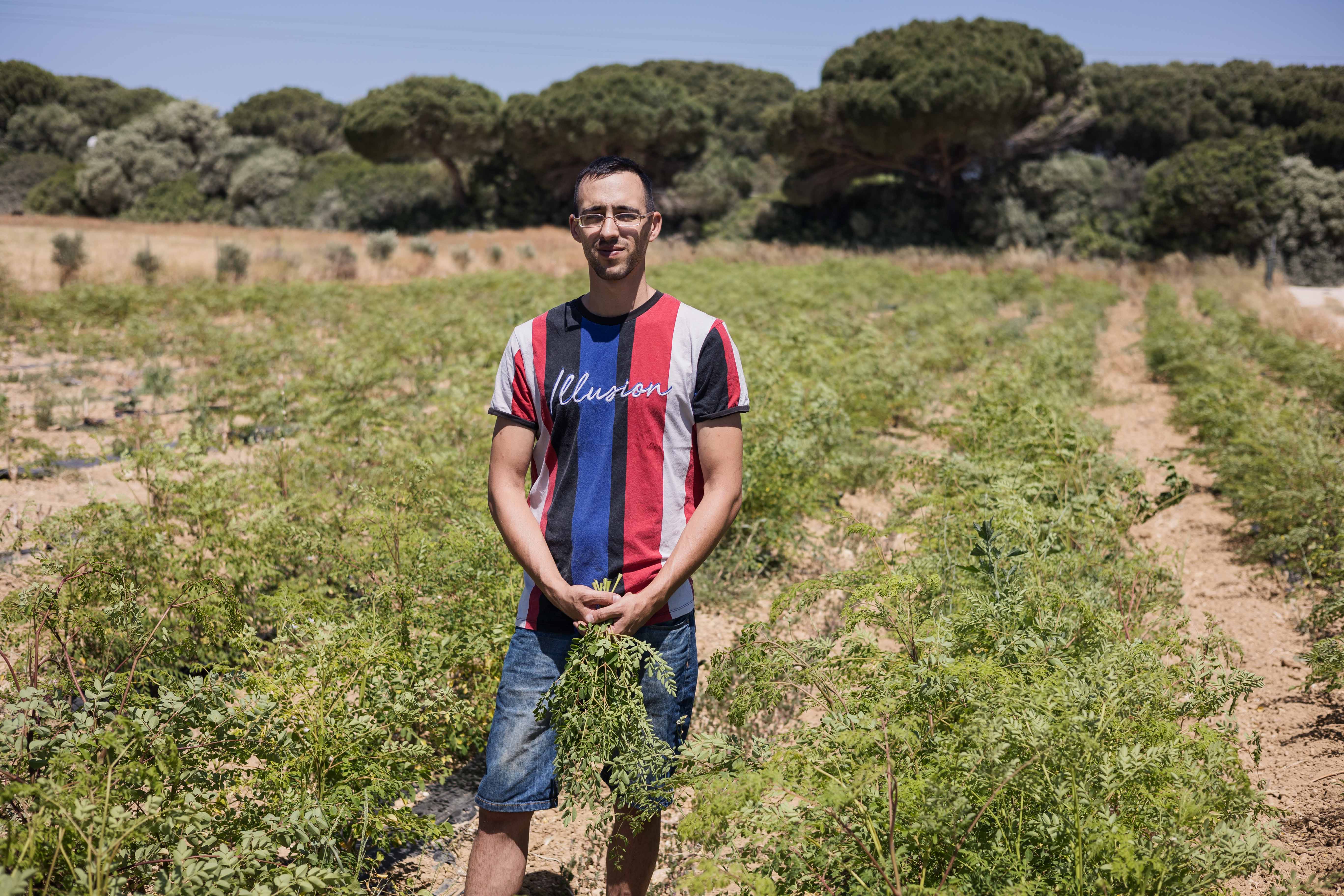 Cultivos de moringa en la finca de la familia puertorrealeña.