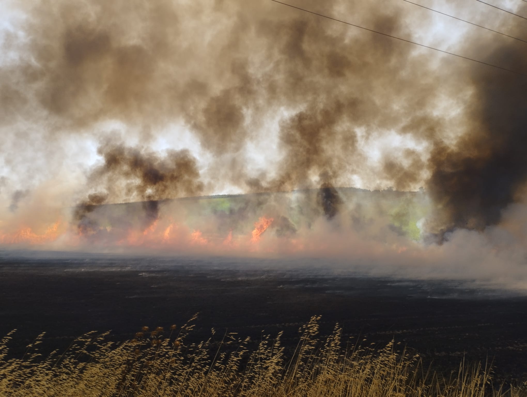 Imagen del incendio de este pasado domingo en Mesas de Asta, en Jerez.