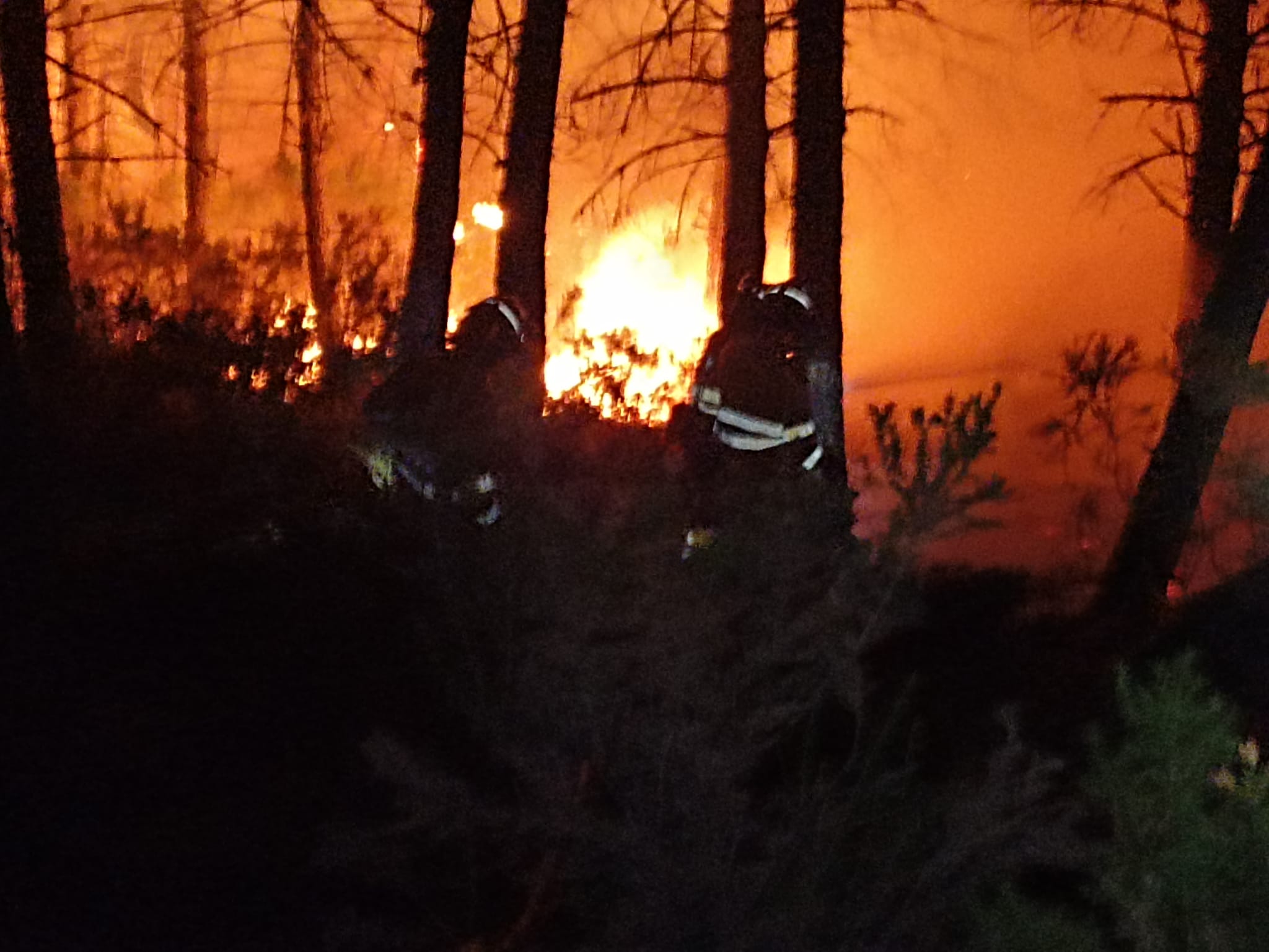 Imagen de archivo de bomberos forestales. Estas son las penas a las que se enfrenta el causante de un incendio.
