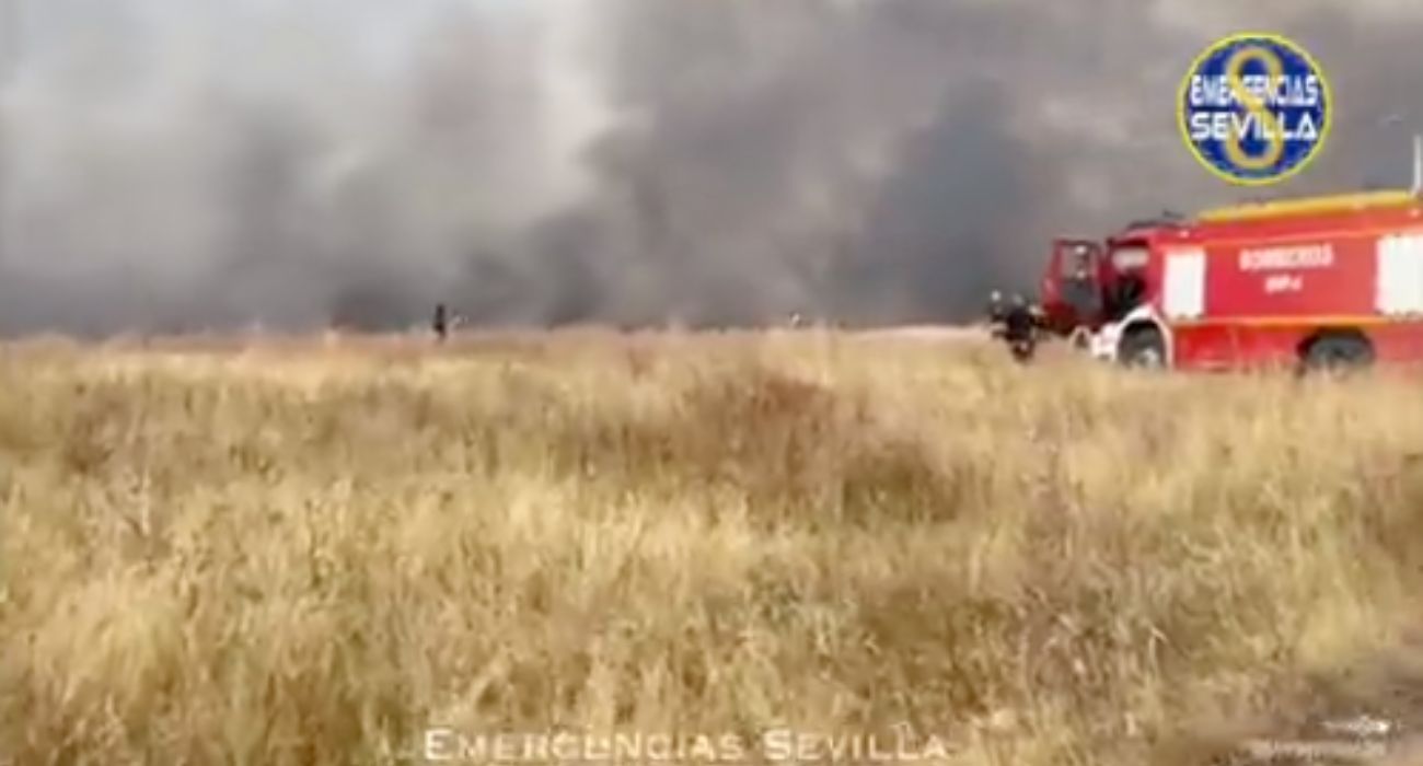 La gran columna de humo que se ha generado en un incendio en las proximidades de Sevilla.