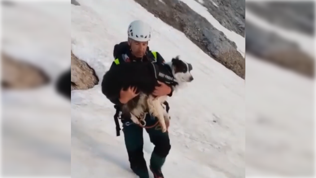 La Guardia Civil escala una montaña para rescatar a Logan, un perro que se había perdido de su familia 16x9