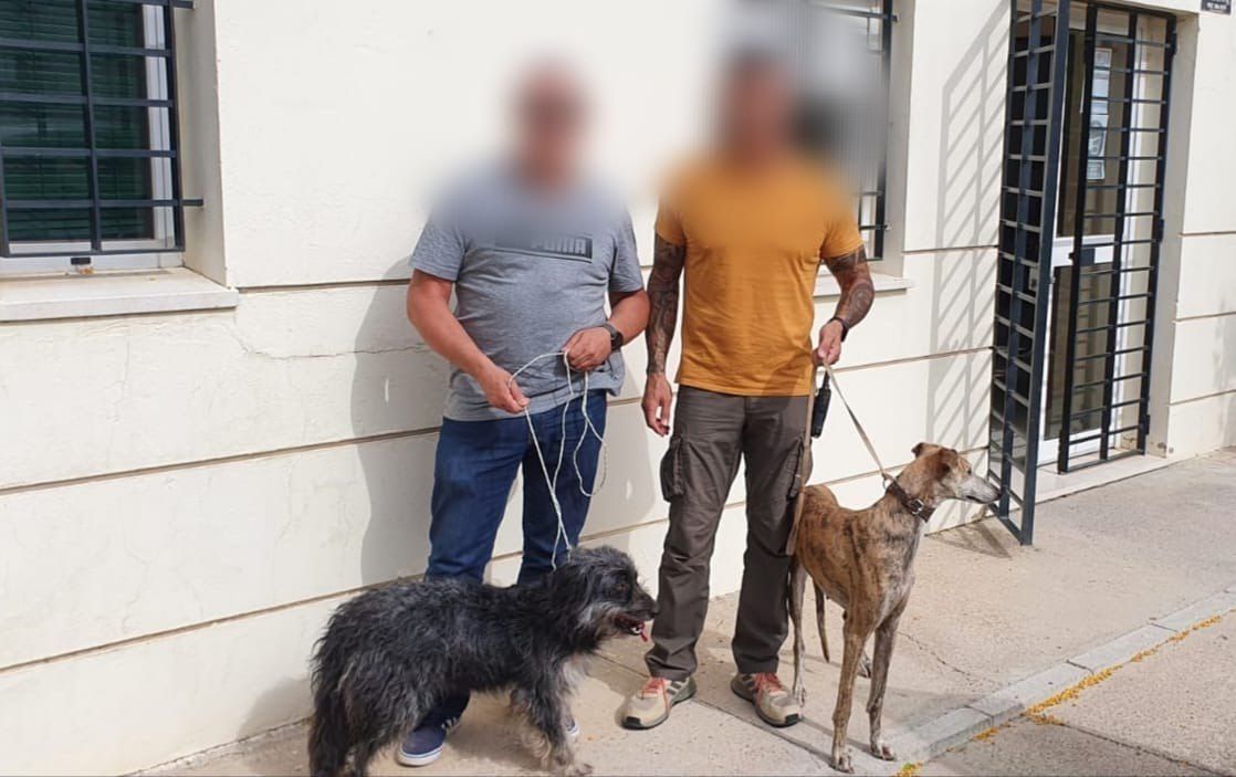 Los dos perros rescatados en Jerez.