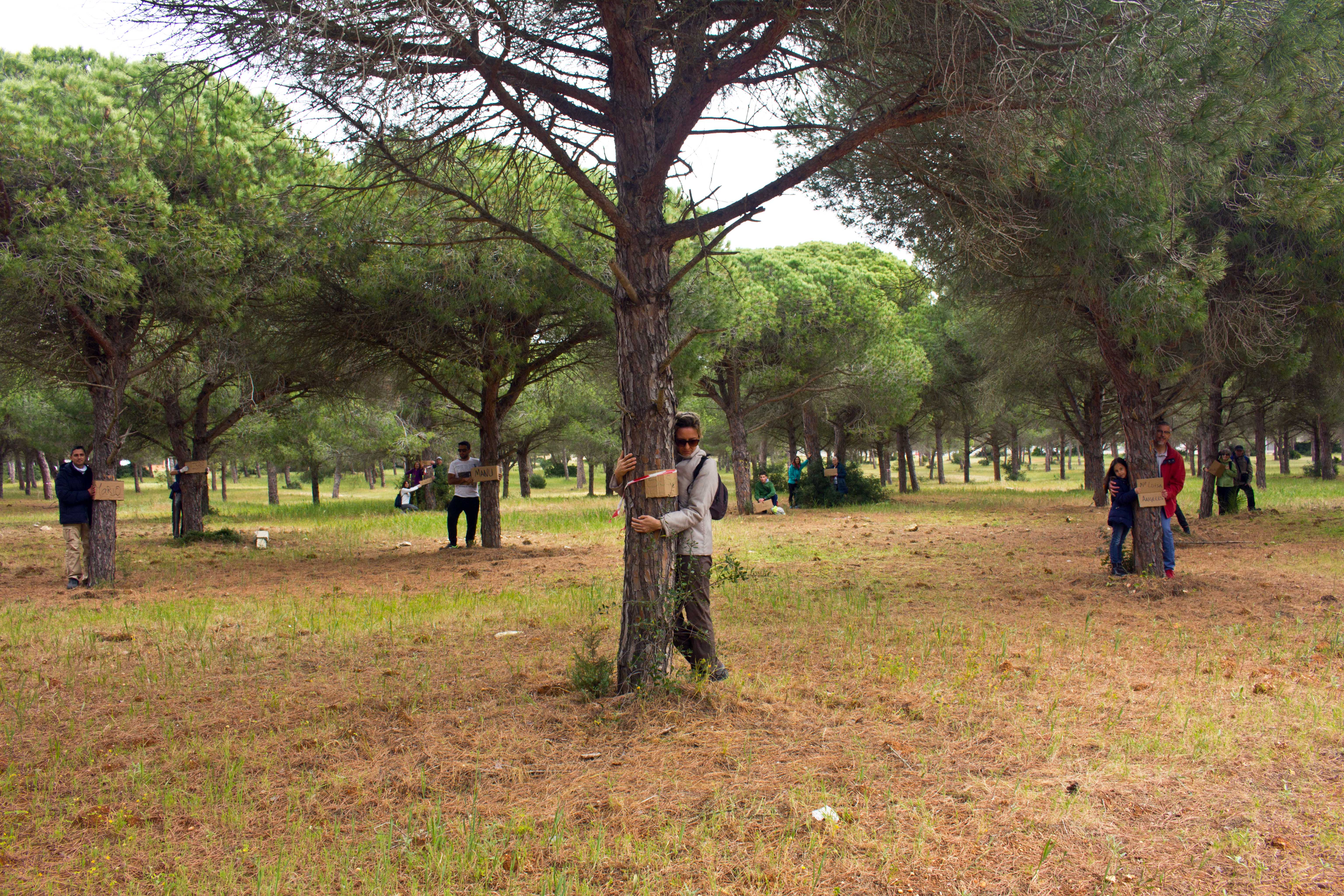 Participantes creando un vínculo entre los pinares que quieren ser arrasados.